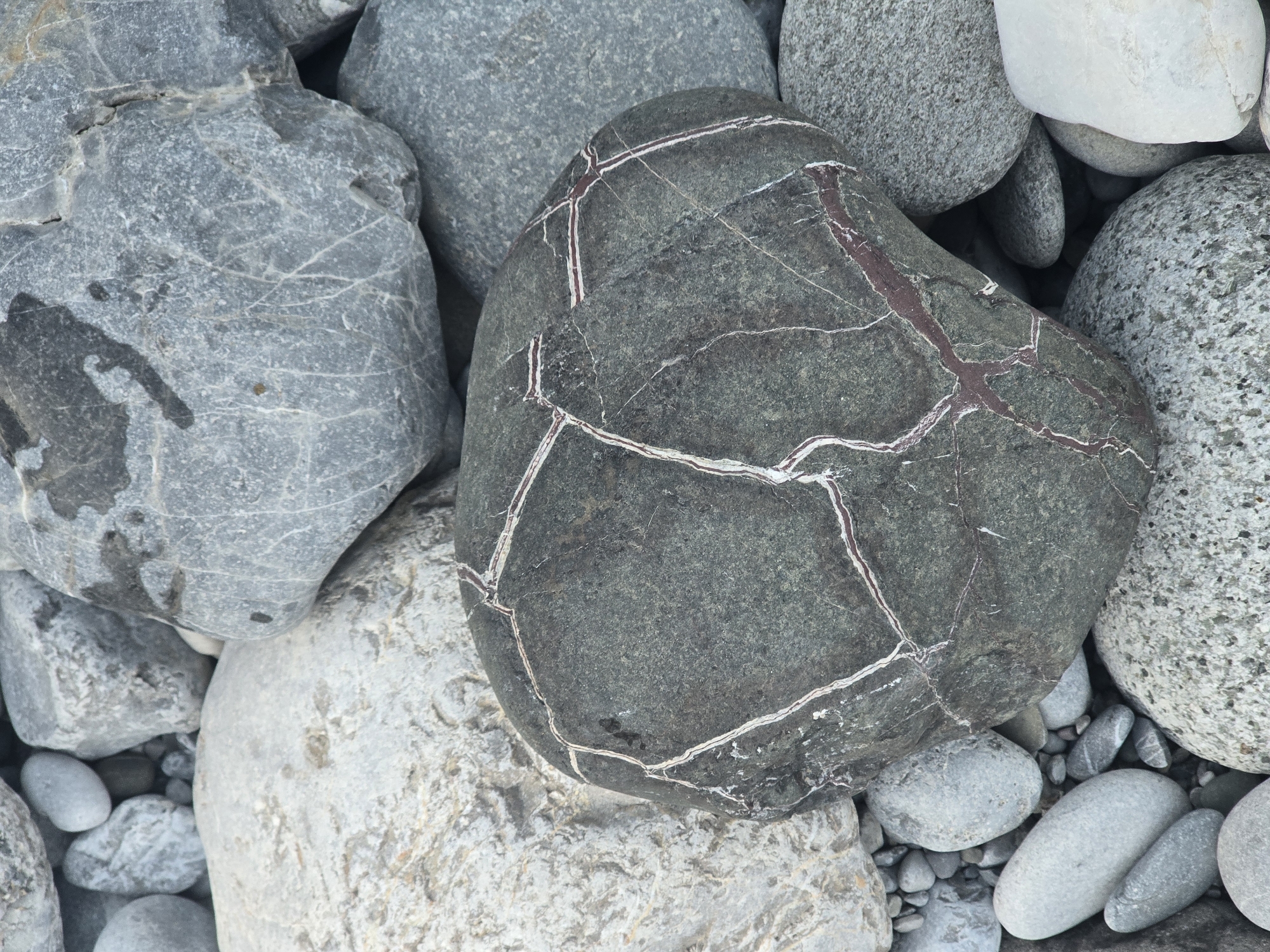 The image displays a close-up, overhead view of a collection of smooth, grey, and white river stones. The stones vary in size and shape, with many appearing to be rounded and water-worn. A prominent, dark grey stone in the foreground is characterized by intricate white and reddish-brown veins that create a fractured or web-like pattern across its surface. These veins are likely mineral inclusions or fractures filled with other materials. The surrounding stones are a mix of lighter grey and off-white, with some exhibiting a speckled texture. The overall impression is of natural geological formations, possibly found along a riverbed or shoreline. The context of Bioče, Montenegro, suggests this scene is located in a natural environment within that region. There are no people, animals, or specific urban elements visible in the image. The lighting appears to be natural daylight, casting soft shadows between the stones.