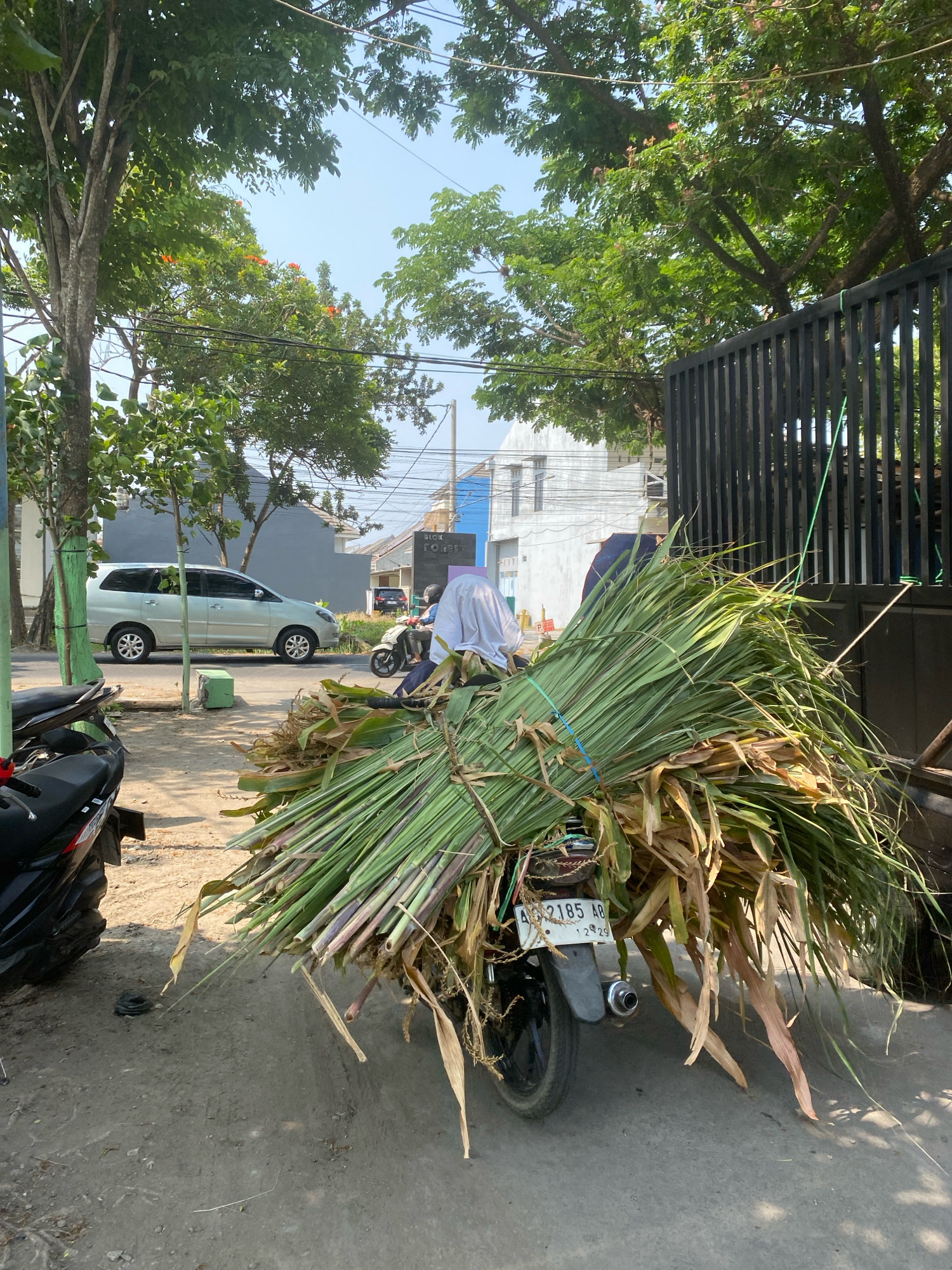 A motorcycle is parked on the side of a street in Kediri City, Indonesia. The motorcycle is loaded with a large bundle of dry corn stalks. The corn stalks are tied with blue and green ropes. A person wearing a white headscarf and a blue shirt is sitting on the motorcycle, partially obscured by the corn stalks. A black motorcycle is parked to the left of the main motorcycle. A silver minivan is parked on the street in the background, and a black metal gate is visible to the right. The street is paved, and there is a dirt shoulder. Trees and buildings are visible in the background. The sky is clear and blue.