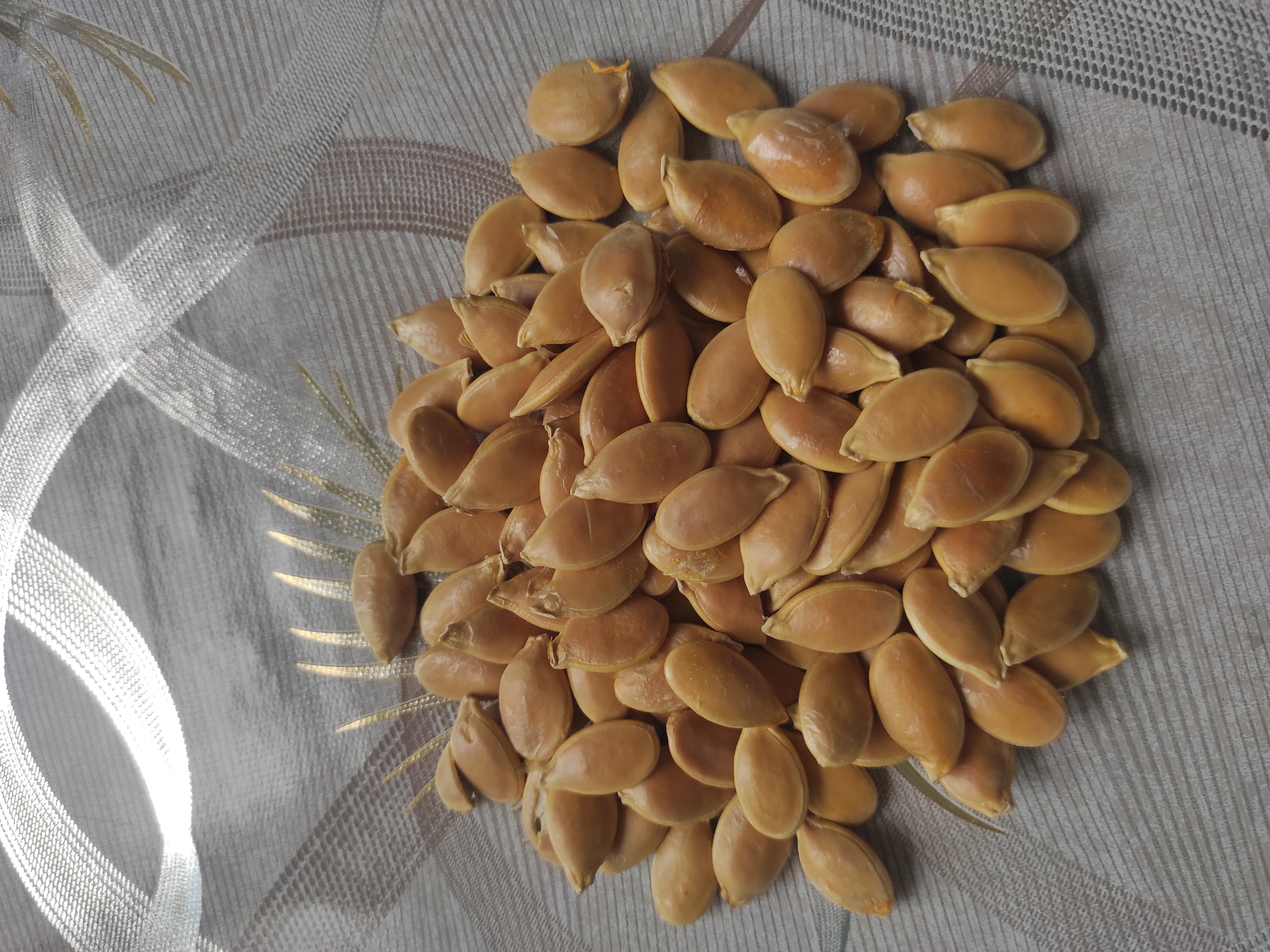 A pile of pumpkin seeds rests on a patterned, greyish-beige fabric. The seeds are an orangey-brown color and have a smooth, slightly glossy texture. Some seeds overlap, creating a textured mound. The fabric beneath has a subtle weave and appears to be a tablecloth or decorative runner. At the top of the image, a shimmering, translucent material with a ribbon-like pattern is visible, catching the light. There is no indication of any location in Alkhan-Yurt, Russia within the image.