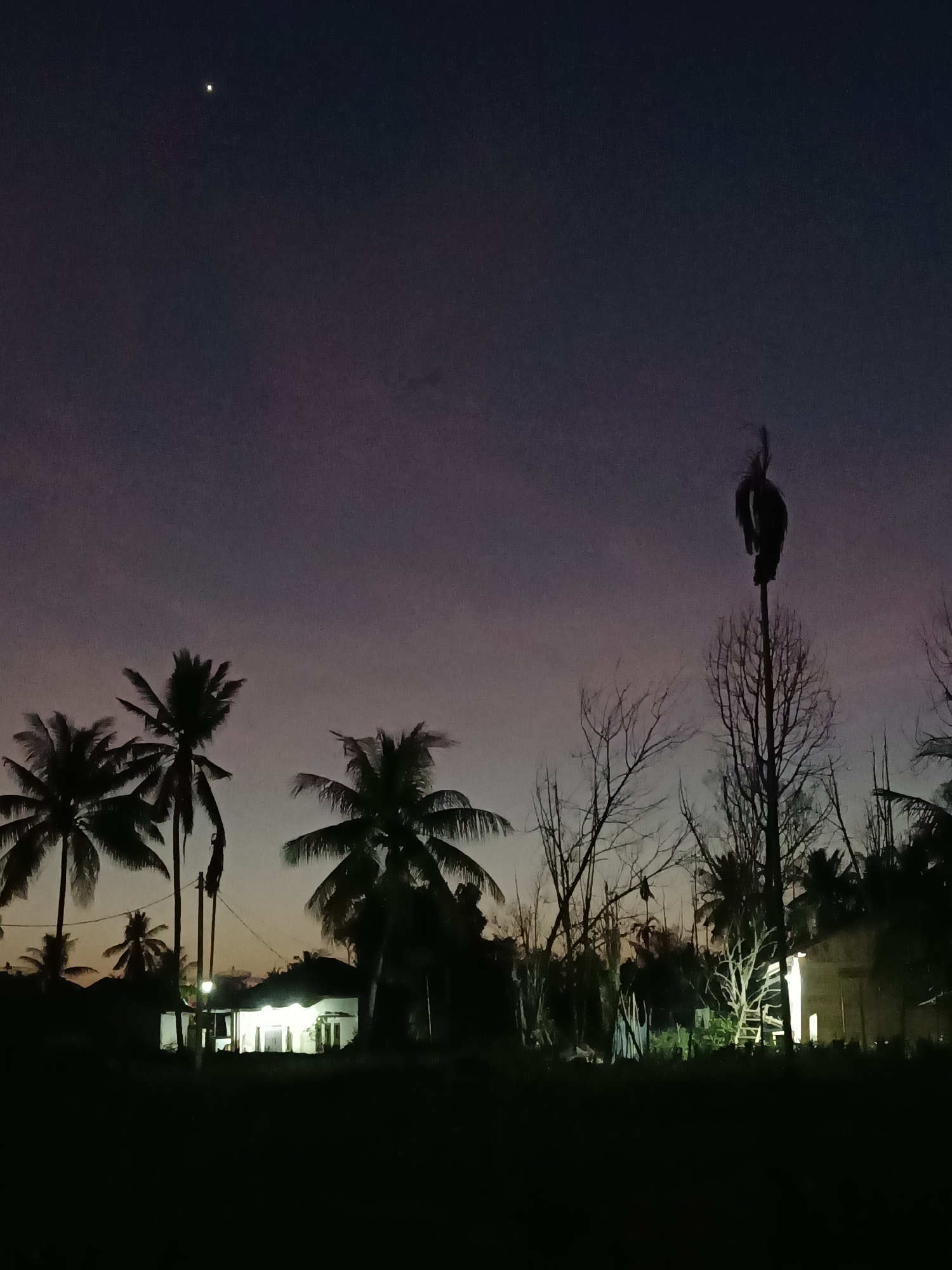 The image captures a dusk scene in Meunasah Raya, Indonesia, characterized by a gradient of dark purple and orange hues in the sky. A single bright star is visible in the upper left quadrant of the sky. In the foreground, silhouetted palm trees stand tall, their fronds extending outwards. To the right of the palm trees, a bare, leafless tree is prominent, topped with what appears to be a figure or object. Beyond the trees, a dimly lit house with illuminated windows is visible, suggesting it is a residential area. The overall impression is of a peaceful, rural setting transitioning from daylight to night.