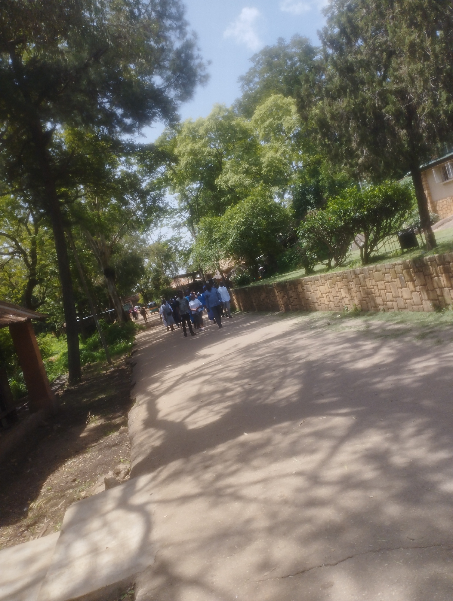 The media file depicts an outdoor scene, likely a pathway or road on a sunny day. A group of people, seemingly walking in a procession or gathered for an event, are the primary subjects. They are dressed in various attire, with some individuals wearing blue uniforms or shirts. The path is unpaved and appears to be made of dirt or gravel, with shadows cast by trees indicating it is daytime.
The setting is characterized by lush greenery, with tall trees lining the path and the surrounding area. There's a stone wall constructed along one side of the path, suggesting a landscaped or developed area. In the background, a building with a light-colored facade and windows can be seen, hinting at a school, institution, or residential complex. A wooden structure, possibly a small shelter or shed, is also visible on the left side of the image.
The activity appears to be a casual gathering or movement of people along the path. The mood seems neutral or possibly a bit somber, given the uniform attire of some individuals, which might suggest a school outing, a procession, or a similar organized event. The weather appears to be pleasant, with a clear blue sky and scattered clouds visible. The sunlight suggests it is mid-morning or afternoon.
No visible text is present in the media file. The location context of Jos, Nigeria, aligns with the visual cues of vegetation and architectural style.