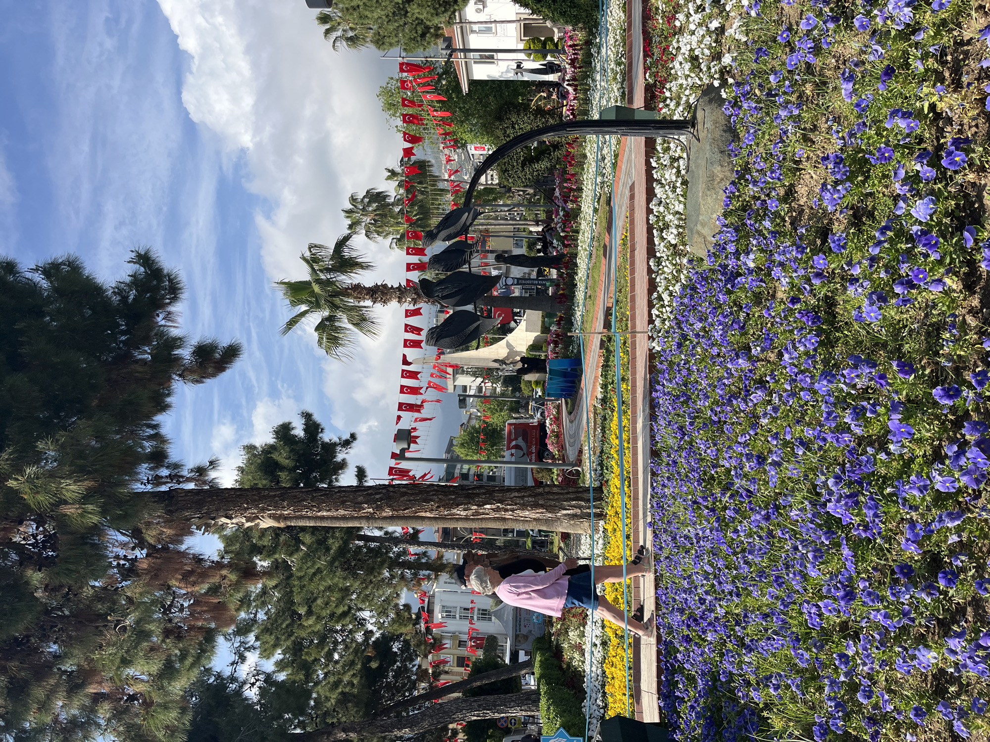 The image shows a public area in Alanya, Turkey. The scene features a colorful flower bed with yellow, white, and purple flowers. Turkish flags are strung on lines overhead, and various trees, including palm trees, are also present. A sculpture of birds stands in the background. A person, wearing a pink shirt and blue shorts, is standing near the flower bed. Buildings are seen in the background, with clear skies and clouds visible above.