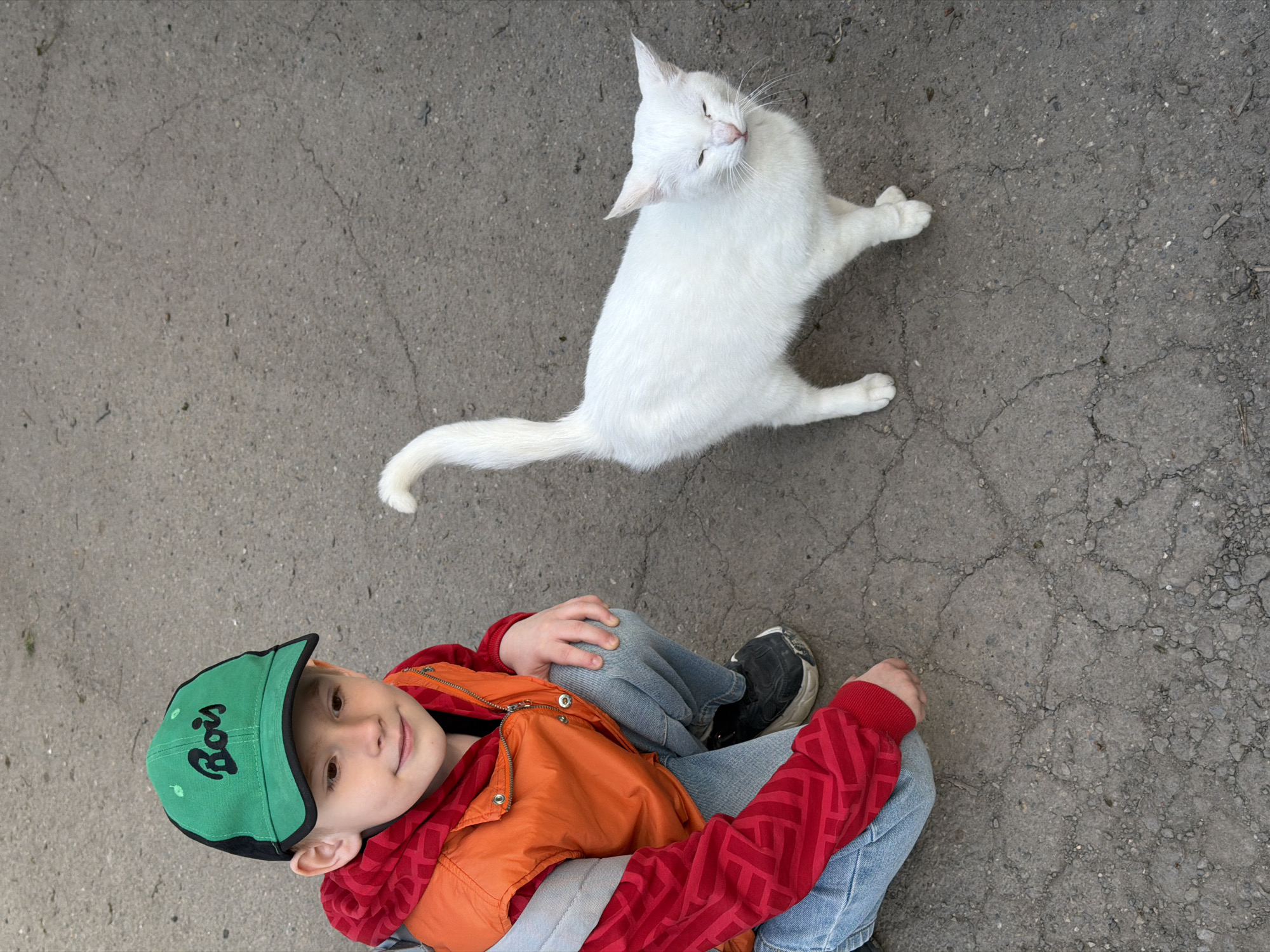 An overhead, high-angle photograph captures a peaceful outdoor scene featuring a young boy and a white cat on a cracked, grey paved surface, likely in Beryozovy, Russia.
In the lower left portion of the frame, a young boy is seated on the ground with his legs bent, looking up at the camera with a soft smile. He wears a vibrant red long-sleeved shirt with a repeating geometric pattern, an orange puffer vest, and light blue jeans. A green baseball cap, featuring the word "Bois" in black script on the front, covers his head.
To the boy's right and slightly above him, a pure white cat sits or reclines on the ground. The cat looks upwards with its eyes partially closed, appearing relaxed and content, possibly enjoying the attention or the moment. Its long white tail extends behind it. The ground beneath both subjects is a textured grey, showing numerous cracks and small stones, indicating an aged asphalt or concrete surface. The natural light is soft and even, suggesting daytime conditions without strong shadows. The image conveys a calm and affectionate interaction or casual coexistence between the child and the cat.