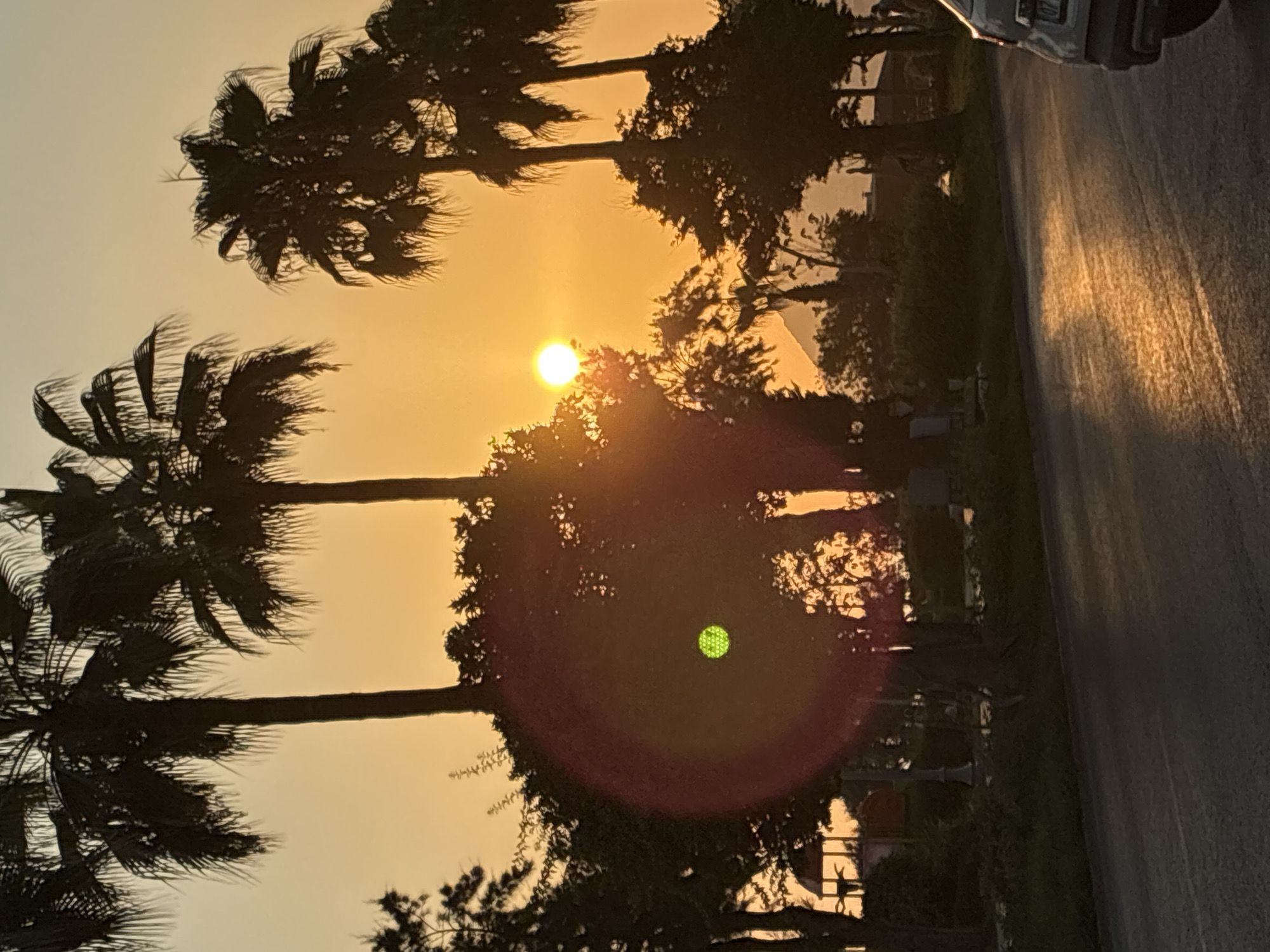 A wide shot captures a sunset over a street in Alanya, Turkey, with palm trees silhouetted against the orange sky. The sun, a bright orb, is visible through the foliage of trees in the mid-ground. A distinct red lens flare, with a green dot at its center, partially obscures a cluster of trees in the foreground. Beyond the trees, a playground structure and lamp posts are faintly visible. The paved street in the foreground reflects the warm glow of the setting sun. A light-colored vehicle is partially visible on the right side of the frame, its rear end facing the camera. The overall scene depicts a tranquil evening setting in a coastal city.