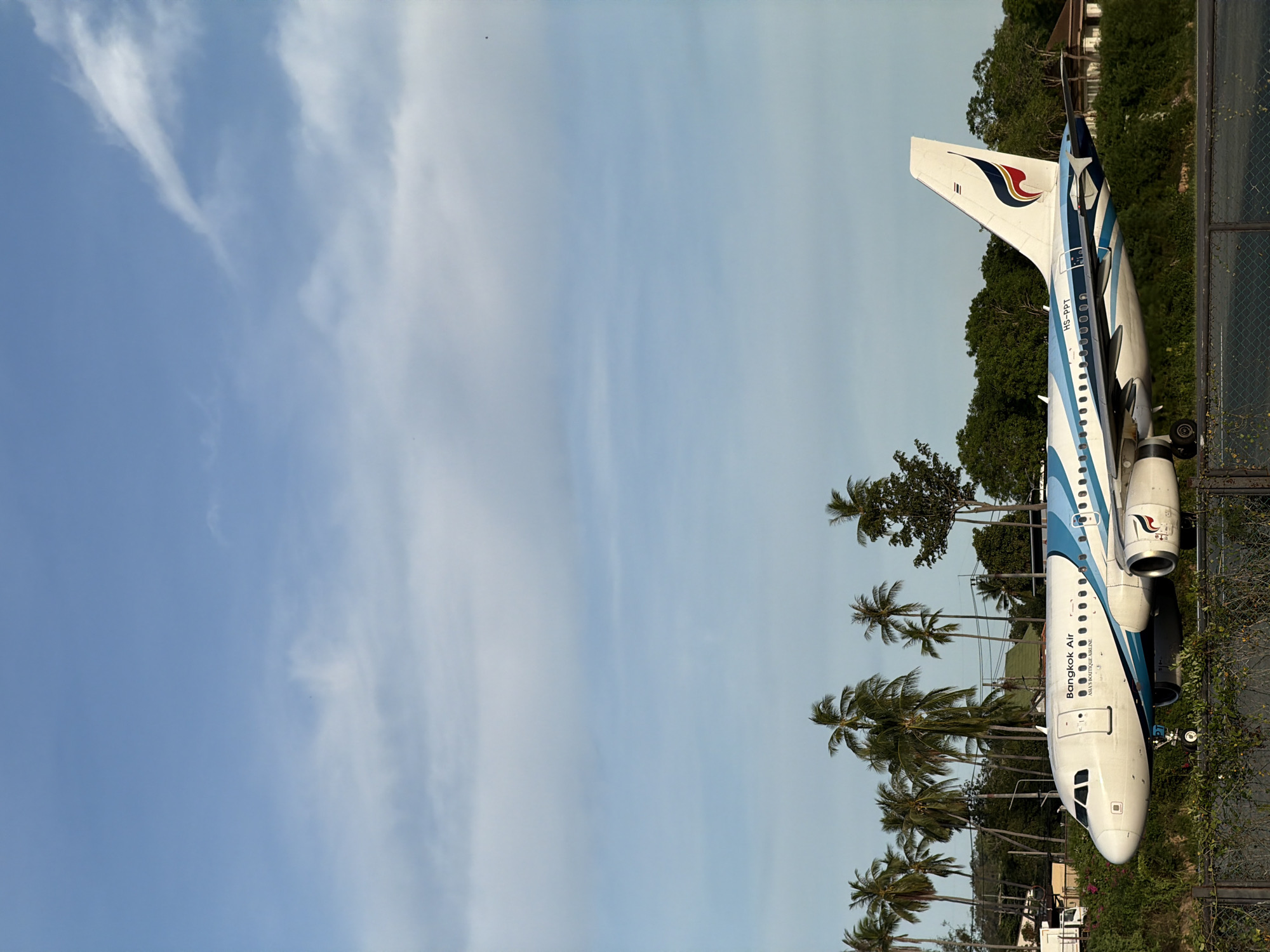 An Airbus A319 aircraft, registered as HS-PPT and operated by Bangkok Airways, is parked on a tarmac with a backdrop of lush vegetation and palm trees. The aircraft is predominantly white with a distinctive blue and teal livery that features wave-like patterns. The airline's logo, a stylized bird in flight, is visible on the tail fin. In the background, a few buildings are nestled amongst the dense green foliage and tall palm trees, suggesting a tropical or sub-tropical environment. The sky above is a clear blue with scattered wispy clouds. The foreground shows a metal chain-link fence and some low-lying greenery, indicating a perimeter or barrier. The lighting suggests it is either early morning or late afternoon, with soft, directional sunlight casting gentle shadows. The scene appears to be at an airport in Baan Bo Phut, Thailand, given the aircraft's operator and the characteristic tropical landscape. There are no people or animals visible in the image.