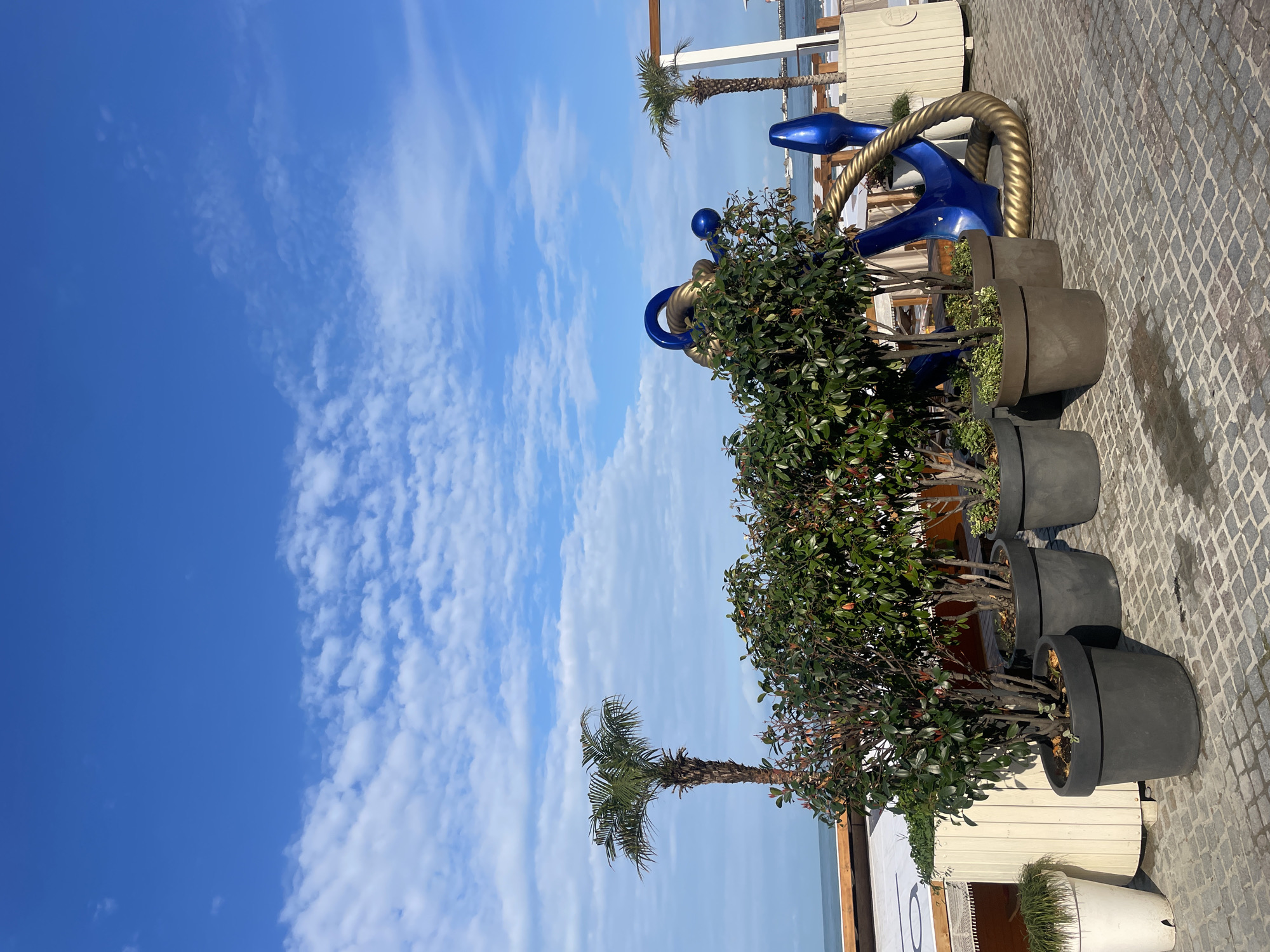 A coastal promenade in Sochi, Russia, is depicted on a clear, bright day with a vibrant blue sky dotted with white, wispy clouds. In the foreground, several potted trees and plants are arranged on a cobblestone pathway. The pots vary in color and size, with darker, larger pots dominating the center and a lighter, cylindrical planter to the left. Behind the plants, a large, decorative blue and gold anchor sculpture is visible, adding a nautical theme to the scene. Two palm trees are present; one taller and more mature on the left, and a smaller one on the right, near the anchor sculpture. Beyond the promenade, the Black Sea is visible, with a few boats in the distance. White tents and outdoor seating areas suggest a restaurant or cafe setting adjacent to the promenade. The overall impression is one of a well-maintained, recreational outdoor space.
