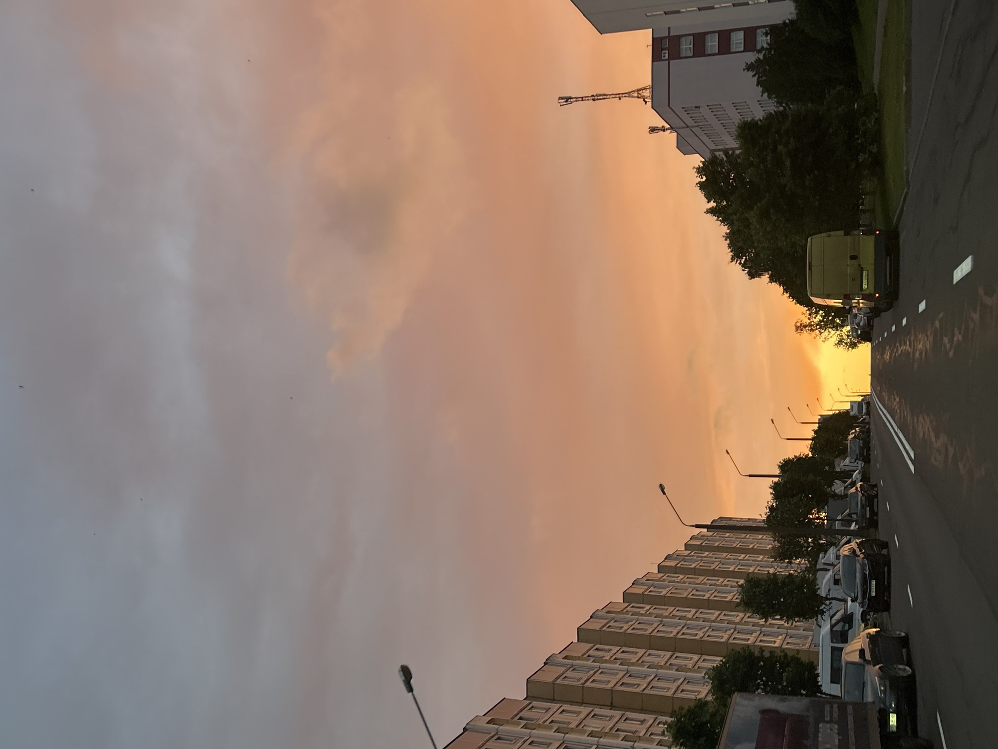 A low-angle, vertical outdoor photograph captures a street scene in Minsk, Belarus during a vibrant sunset. The sky is a gradient of soft grays and oranges, with hints of pink, and several small, dark birds are visible flying. A row of multi-story residential buildings, featuring numerous windows and light-colored facades, lines the left side of the street. Across the street, on the right, are more buildings, including a white structure with a cell tower on top, and dense green trees. The street itself is asphalt with visible white lane markings. Several cars are parked and in motion, including a dark-colored truck on the far left, a few sedans, a white van, and a light green van. The street appears wet, reflecting the colors of the sky. The overall impression is of an urban evening with a dramatic sky.
