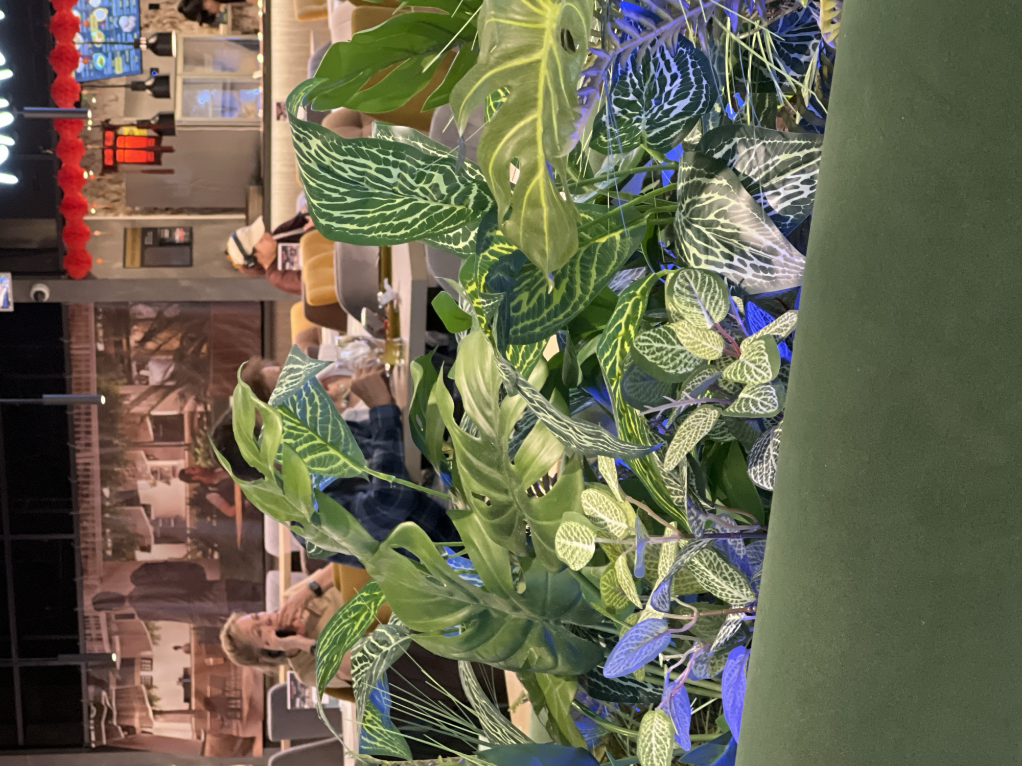 The image depicts an indoor scene with a focus on lush green plants in the foreground, partially obscuring the background. The plants are varied, with large, broad leaves and smaller, intricately patterned foliage, some appearing to be artificial. Blue lighting is visible amongst the greenery.
In the background, through the plants, a dimly lit interior space is visible. There are several people present, seated and interacting. One person, wearing a white hat and a dark jacket, appears to be looking down at something. Another person in the mid-ground is wearing a beige top and has their hand near their face, possibly holding a phone. The setting seems to be a restaurant or cafe, with tables and chairs visible. A large mural or backdrop depicts an outdoor scene with buildings and people. Red lanterns or decorative elements are visible on the left side of the image, suggesting a festive or cultural theme.
The overall mood is relaxed and casual. The lighting is subdued, with the blue lights from the plants creating an artificial glow. There is no clear indication of the time of day or weather. The specific location cues are limited to the general interior setting and the mural. No discernible text is visible in the image.