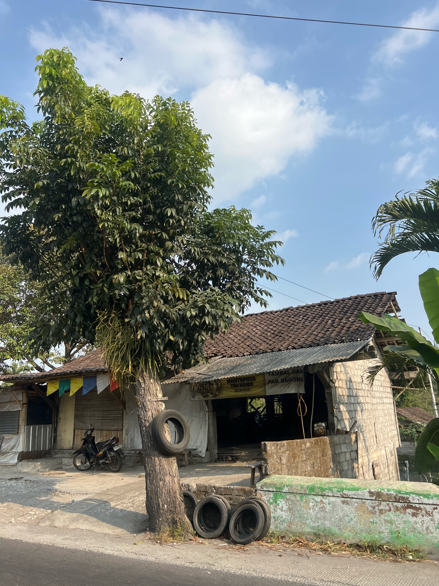 In Pakem, Indonesia, on a bright, sunny day, a rural street scene unfolds. A large tree with lush green leaves dominates the left side of the frame, its trunk adorned with a tire. To the right of the tree is a modest building with a tiled roof and a facade constructed from cinder blocks. The building appears to be a small business, with a yellow banner hanging above the entrance that reads "MANTAFFNYA TEH MANIS PAK BAGONG" (Delicious Sweet Tea Pak Bagong). In front of the building, several old tires are stacked on the ground. A motorcycle is parked on the paved area in front of the building. The sky is a clear blue, with scattered white clouds. The environment suggests a tropical climate with the presence of palm leaves visible in the upper right corner.