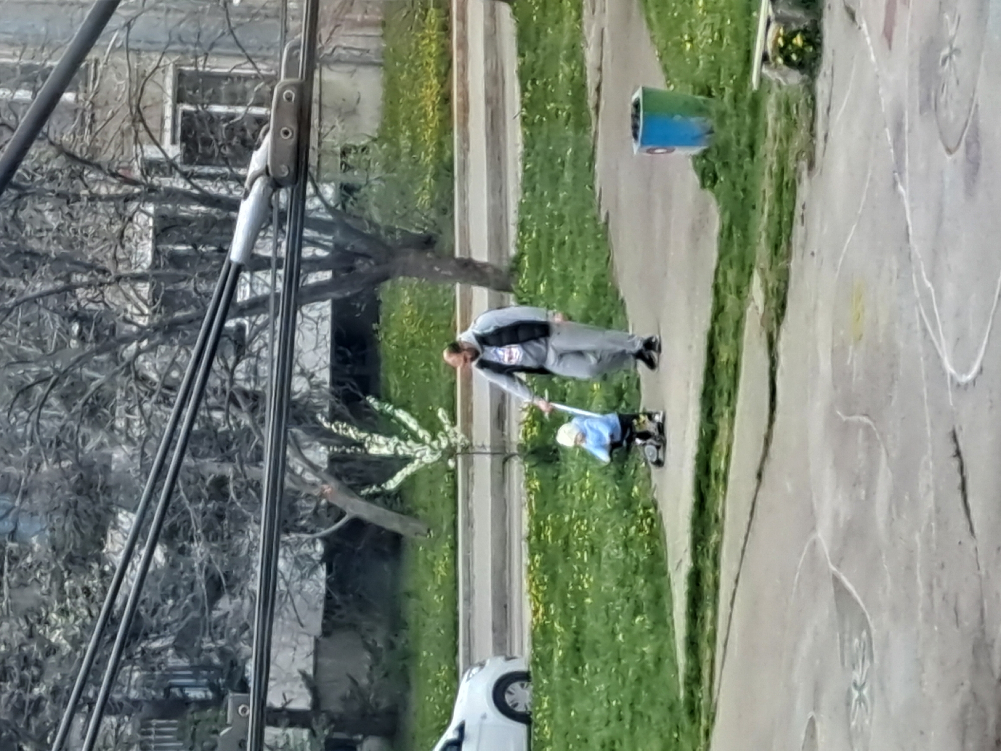A man in light-colored clothing walks along a sidewalk in Sofia, Bulgaria, pulling a child on a small blue and white toy. The sidewalk is adjacent to a grassy area with yellow flowers. In the background is a building, trees, and a street with a white car parked. Overhead are power lines and a power line pole. A trash can is near the grassy area. The sidewalk continues with an area marked with white paint.
