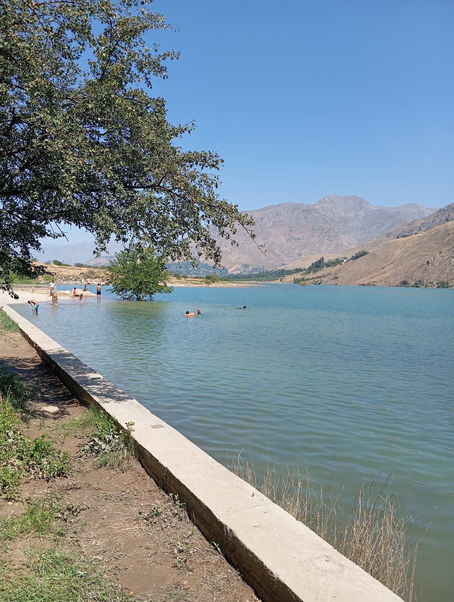 The image depicts a sunlit, outdoor scene at a body of water, likely a reservoir or lake, with a mountainous backdrop. In the foreground, a concrete embankment runs along the edge of the water, separating it from a dry, dirt-and-grass area. A large tree with green foliage partially shades the embankment. Several people are visible in and around the water. Some are wading in the shallow area near the embankment, while others are further out in the water. One person appears to be floating on an orange inflatable ring, and another individual is partially submerged, possibly swimming. The water is a clear, light blue-green color. In the middle ground, a solitary green tree grows out of the water. The background features dry, undulating hills and mountains, with a clear blue sky above. The overall impression is of a recreational area during warm weather. The presence of the mountainous terrain and the specific style of buildings visible in the distance on the hills suggest a location within Uzbekistan, potentially near the city of Yangikurgan, known for its scenic landscapes and reservoirs.
