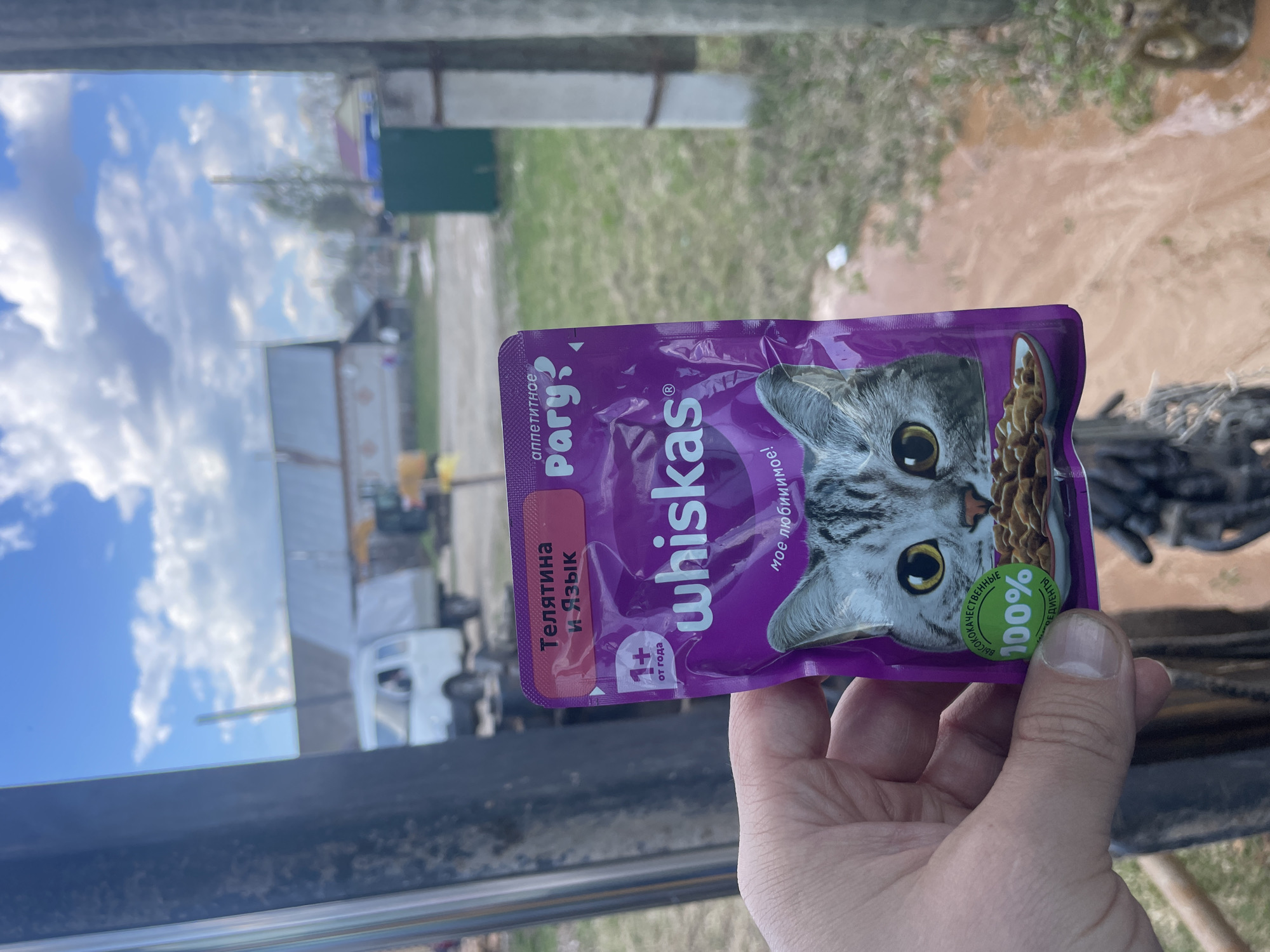 A hand is holding a purple packet of "Whiskas" cat food outdoors in what appears to be the city of Поедуги, Russia. The packet features an image of a grey tabby cat with yellow eyes and a photo of the cat food itself. The packet indicates that it contains veal and tongue, and is suitable for cats over 1 year old. The text is in Russian. The background includes a vehicle, possibly a truck, a rural landscape with grass and dirt, and a reflection of the sky in a window.