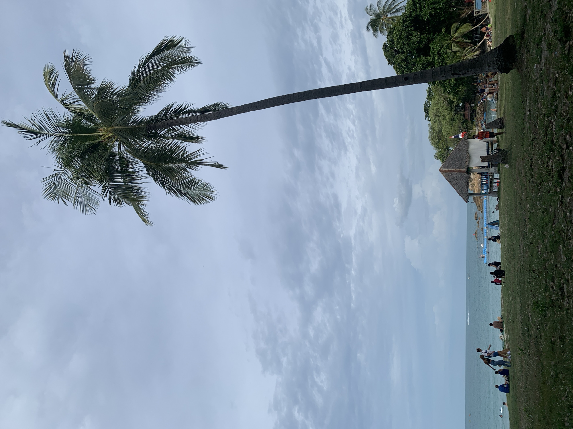 This image depicts a tropical beach scene in the Ko Samui District of Thailand. A tall, leaning palm tree dominates the right side of the frame, its fronds reaching towards the overcast sky. In the mid-ground, a small, thatched-roof hut sits near the water's edge, adorned with a Thai flag. A group of people are scattered across the grassy embankment and along the shoreline. Some are sitting, while others are standing and interacting. The ocean is visible in the background, with a few boats and a floating structure in the distance. The overall atmosphere is relaxed, suggesting a leisurely day at the beach.