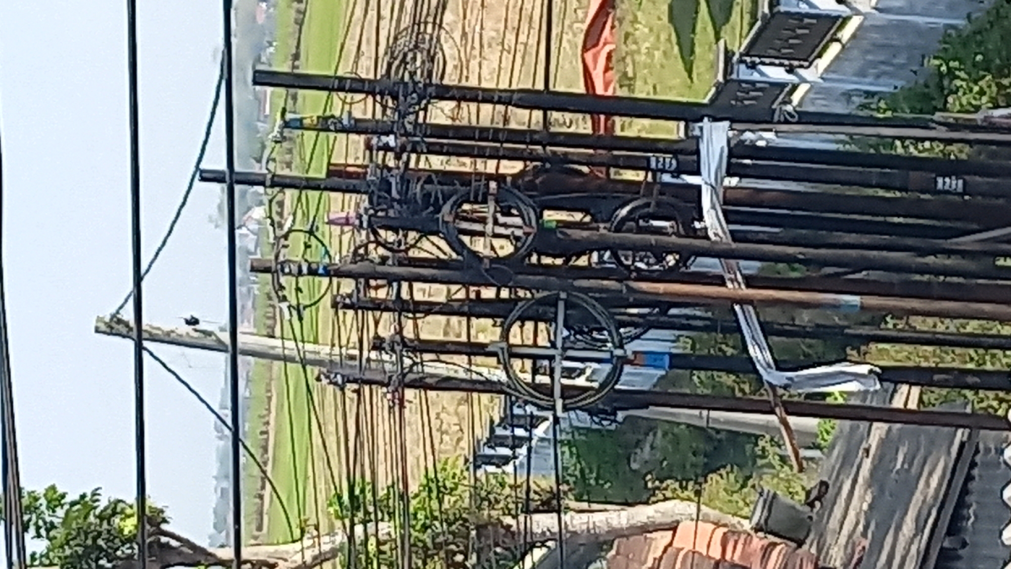 A close-up, vertical shot shows a dense cluster of utility poles and tangled wires in Ngrendeng, Indonesia. The poles are dark brown and appear to be made of wood. Some poles are bundled together, and wires are strung between them at various heights. Several circular wire holders are attached to the poles, with some wires coiled within them. A white cloth is draped over a horizontal wooden support beam attached to one of the poles. In the background, a green, cultivated field is visible under a bright, hazy sky. The upper left corner of the image shows the edge of a tree with green leaves. A section of a tiled roof is visible in the lower left corner. In the distance, a few white buildings and a red structure are partially visible. The overall scene depicts a busy, cluttered urban infrastructure against a rural backdrop.