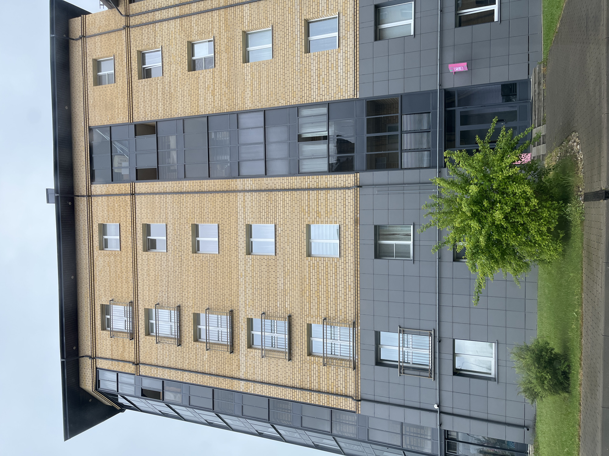 The image depicts the exterior of a multi-story building in Мокшино, Russia. The building has a mixed facade of yellow brick and gray panels, with numerous windows. Some windows have metal security bars. A small green tree and some bushes are present in the foreground, near a paved sidewalk. The sky is overcast. There is a pink sign mounted on the gray panel facade above the entrance.