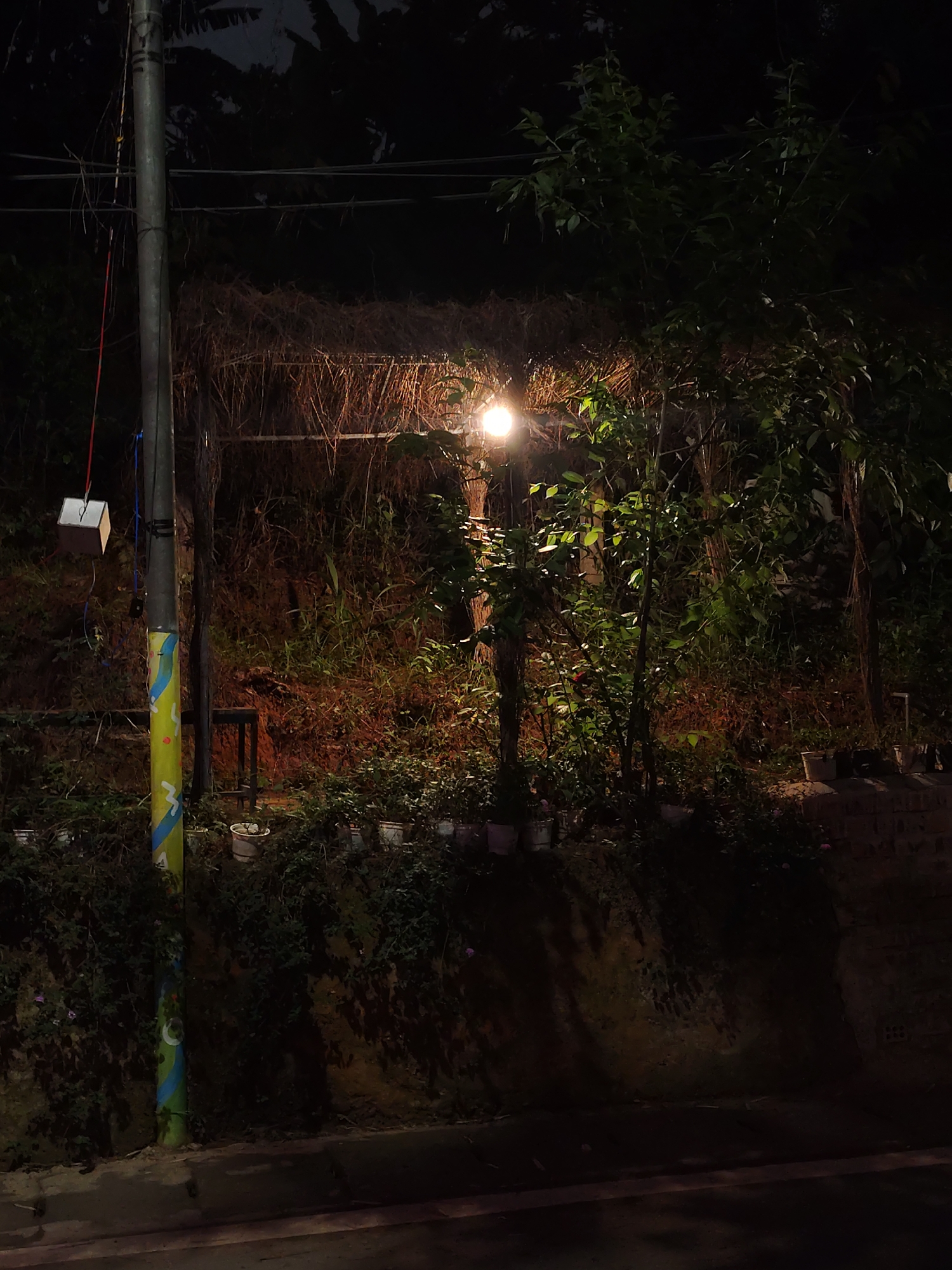 The image depicts a night scene in Da Lat, Vietnam. A utility pole with colorful paint stands on the left side of the image. A rectangular white object hangs from the pole by red and blue cords. To the right, a small wooden structure with a thatched roof is visible. The structure is illuminated by a bright light. Plants and vegetation surround the structure, creating a dense background. A line of potted plants sits on a ledge above a short wall. The street is in the foreground.