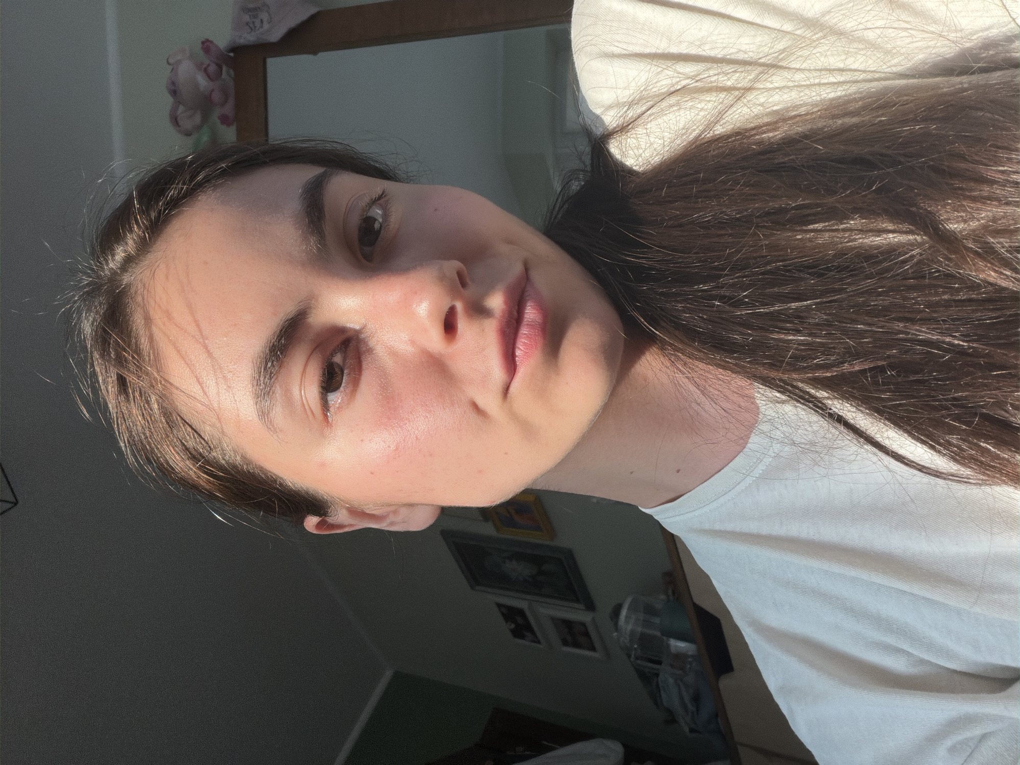 A young woman is depicted in a close-up, eye-level portrait, looking directly forward with a neutral to slightly contemplative expression. She has long, dark brown hair, pulled back, with loose strands framing her face and falling over her right shoulder onto her white t-shirt. Her fair skin shows a natural flush, particularly on the left side of her face (viewer's right), which is brightly illuminated by strong, directional sunlight. This lighting creates prominent highlights on her forehead, cheek, and nose, and casts a sharp shadow down the center of her face, leaving her right side (viewer's left) in comparative shadow. She wears a plain white, short-sleeved t-shirt with a rounded neckline. The background reveals a dimly lit indoor room. On the left, a dark wall displays at least three framed pictures of varying sizes hung vertically, visible in silhouette. On the right, a shelf or piece of furniture is visible, on which a small, pink plush toy (possibly an elephant) rests, next to a partial wooden frame. The ceiling above the subject is dark.