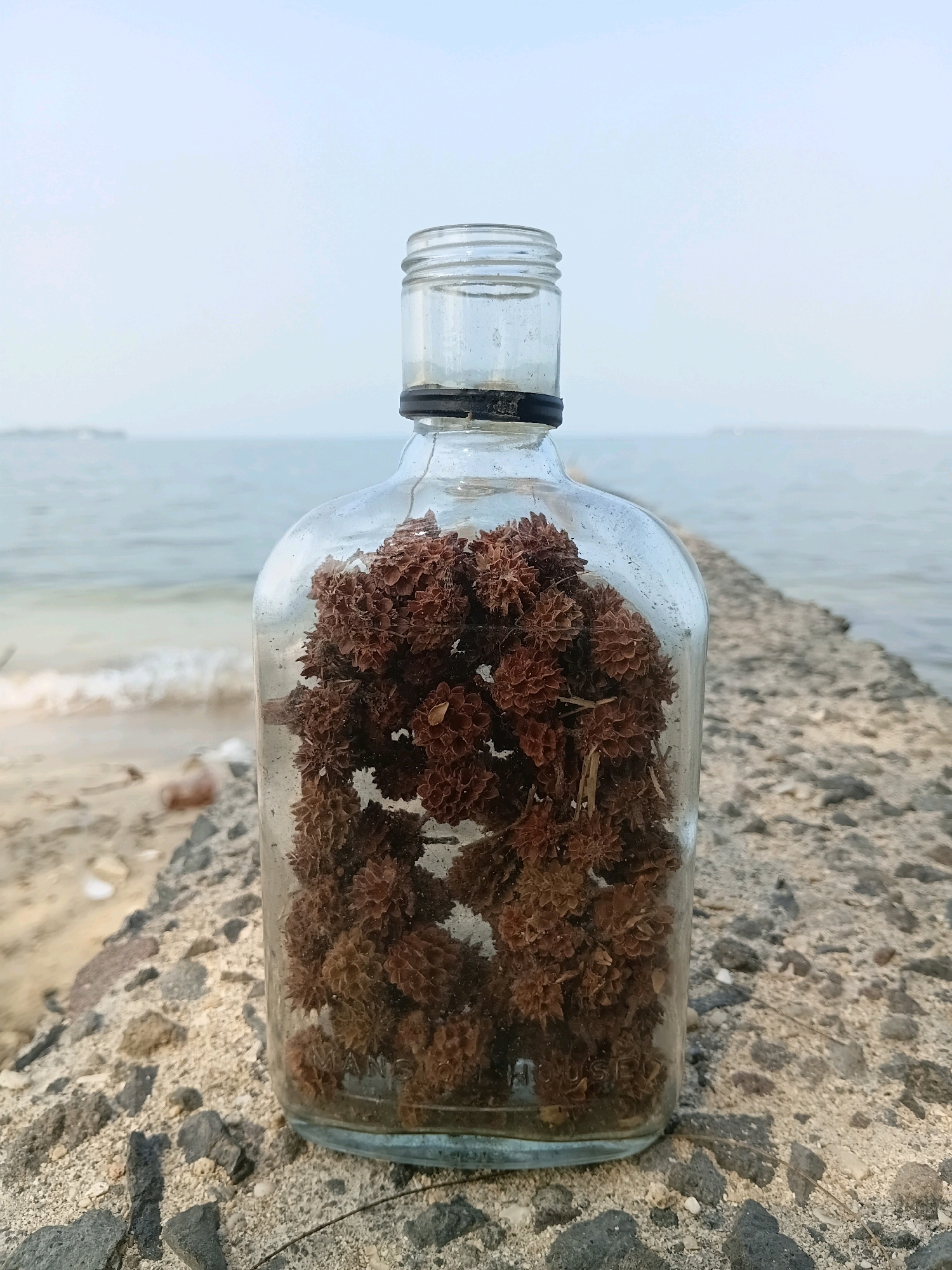 A glass bottle filled with dried seed pods stands on a concrete barrier next to a body of water. The barrier is made of rough, gray concrete chunks interspersed with sand and small rocks. To the left of the barrier is a sandy beach with scattered debris. The body of water appears to be the sea, with gentle waves lapping at the shore. The sky above is a pale, hazy blue, with a faint outline of land visible in the distance. The scene is likely located near the coast in Cikal, Indonesia, given the presence of the sea and the tropical-looking vegetation in the bottle. There are no people visible in the image.