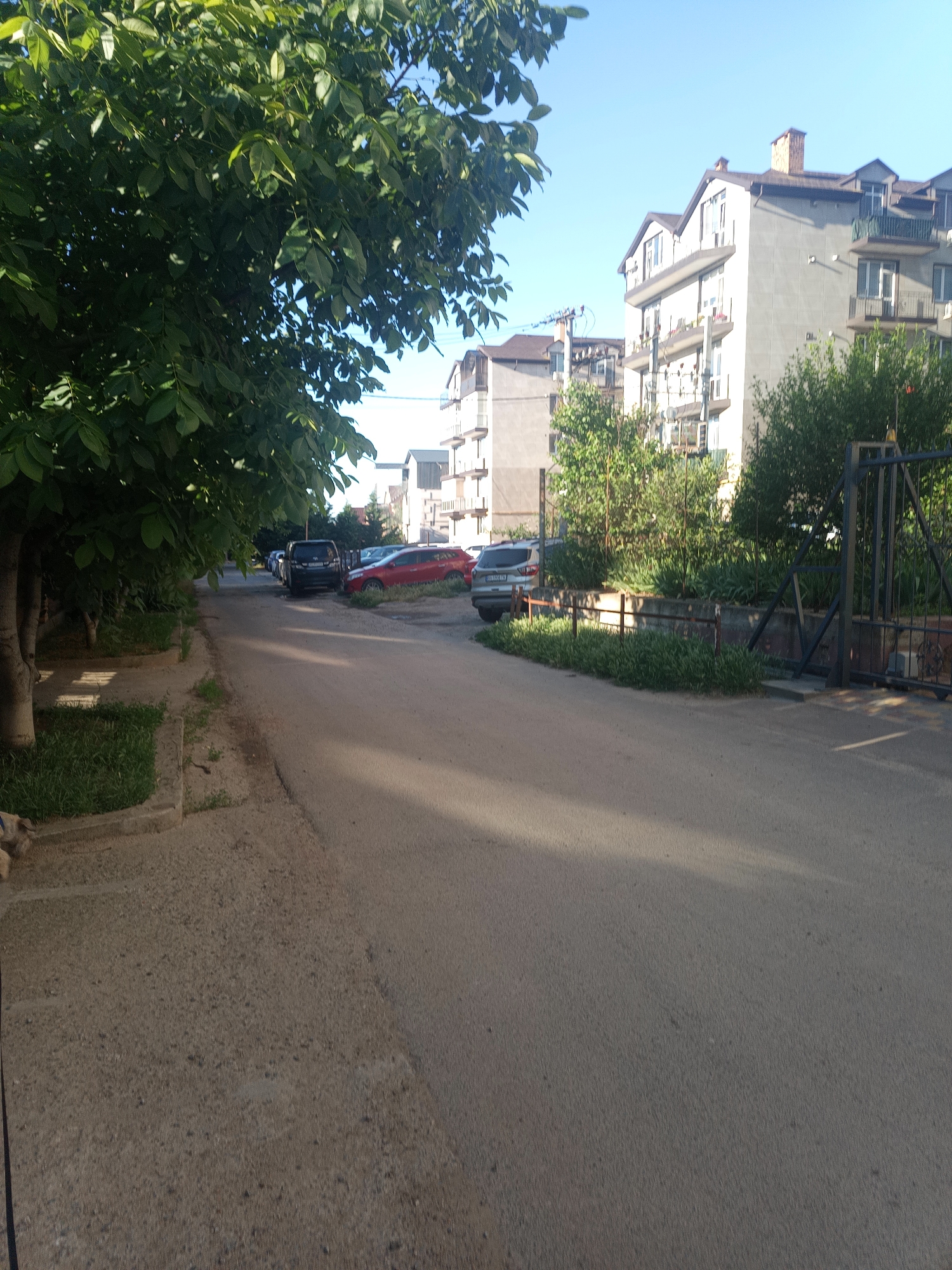 A street in a residential area is depicted, with a paved road in the foreground and buildings and trees lining the sides. On the left, a sidewalk borders a grassy area and a tree with dense green foliage. Several parked cars are visible on the street, including a dark SUV, a red sedan, and a silver SUV. In the background, a multi-story building with balconies and a tiled roof is prominent, along with other residential structures. A metal gate is visible on the right side of the image, partially obscuring a patch of green vegetation. The sky is clear and blue.