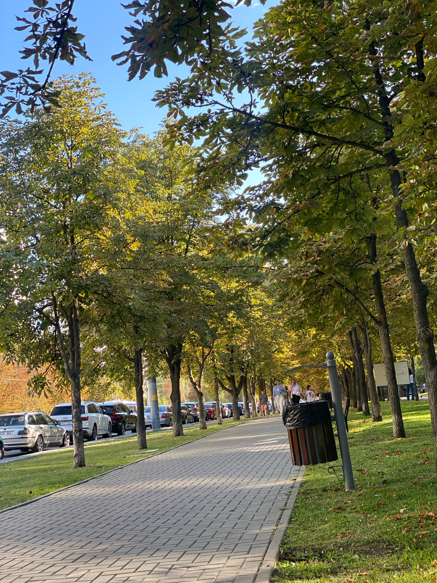 The image depicts a tree-lined pedestrian walkway in Chișinău, Moldova, likely during autumn given the foliage. On the left side of the walkway, parked cars are visible, suggesting a street runs parallel to the path. The walkway itself is paved with interlocking bricks, and a grassy area with scattered leaves borders it. Several trees with green and yellowing leaves form an overhead canopy. In the mid-ground, a few individuals are walking along the path. To the right of the walkway, a trash can with a black liner stands next to a lamppost. In the background, more trees and some urban structures can be seen. The sky is clear and blue.