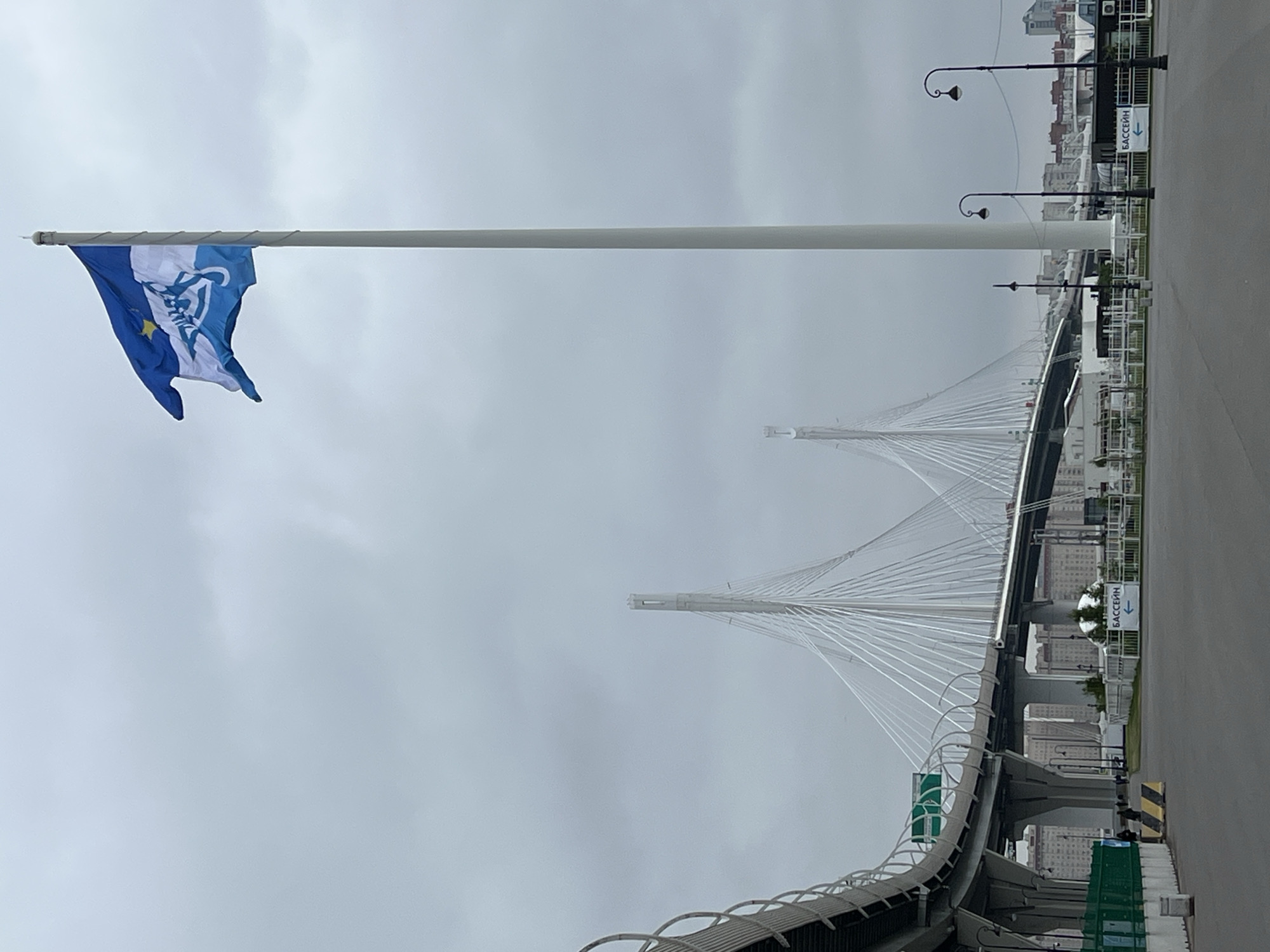 The image shows a general view of the Western High-Speed Diameter (WHSD), a toll highway in Saint Petersburg, Russia, on an overcast day. Prominently visible is the flag of Zenit Saint Petersburg, a Russian professional football club, flying from a tall flagpole in the foreground. The cable-stayed bridge, a key feature of the WHSD, extends across the horizon, with its distinctive white support towers and cables. The surrounding area appears to be a park or recreational area, with lampposts and signs visible along the roadway. Buildings can be seen in the background, suggesting the urban setting of Saint Petersburg. The highway infrastructure includes concrete barriers and road signage along the right side of the image.