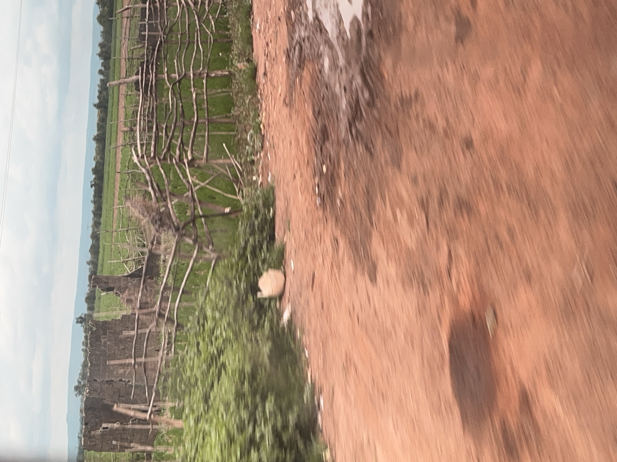 The image captures a scene in Karshi, Nigeria, characterized by a rural or semi-rural environment. In the background, a weathered, partially ruined stone structure stands behind a rustic wooden fence. The fence is constructed from branches and posts, creating a somewhat irregular barrier. Beyond the fence, a green field stretches out, suggesting agricultural land. The sky above is overcast with clouds. In the foreground, a reddish-brown dirt path dominates the lower portion of the image. There are patches of mud and puddles on the path, indicating recent rainfall. Green vegetation, appearing as bushes and grass, is visible along the edge of the path and behind the fence. A light-colored, rounded object, possibly a rock or a discarded container, is present near the bushes on the left side of the frame. The overall impression is one of a simple, somewhat unkempt landscape, possibly on the outskirts of a settlement.