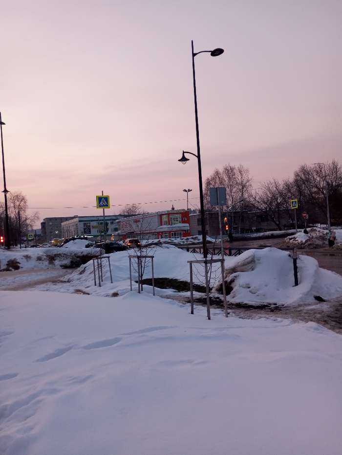 The image depicts a winter street scene in the city of Yaromaska, Russia, at either dawn or dusk, evidenced by the pale pink and purple hues of the sky. The foreground is covered in undisturbed white snow, with faint footprints present. In the mid-ground, a row of young deciduous trees, supported by stakes, protrudes from the snow. Beyond these, a partially cleared road with visible asphalt and slush runs horizontally across the frame. A single vehicle with illuminated headlights is observable on the road, moving away from the viewer. Large, irregular snowdrifts and piles are prominent along the road edges and median.
Multiple black streetlights with contemporary luminaires are positioned throughout the scene. Several traffic signs are visible, including multiple yellow diamond-shaped pedestrian crossing signs and a red circular stop sign. In the background, a series of multi-story buildings are present. One prominent building features orange and white paneling and displays a Cyrillic sign that reads "МЕБЕЛЬ" (Furniture). Bare trees line the distant parts of the scene. No discernible individuals are present within the frame.
