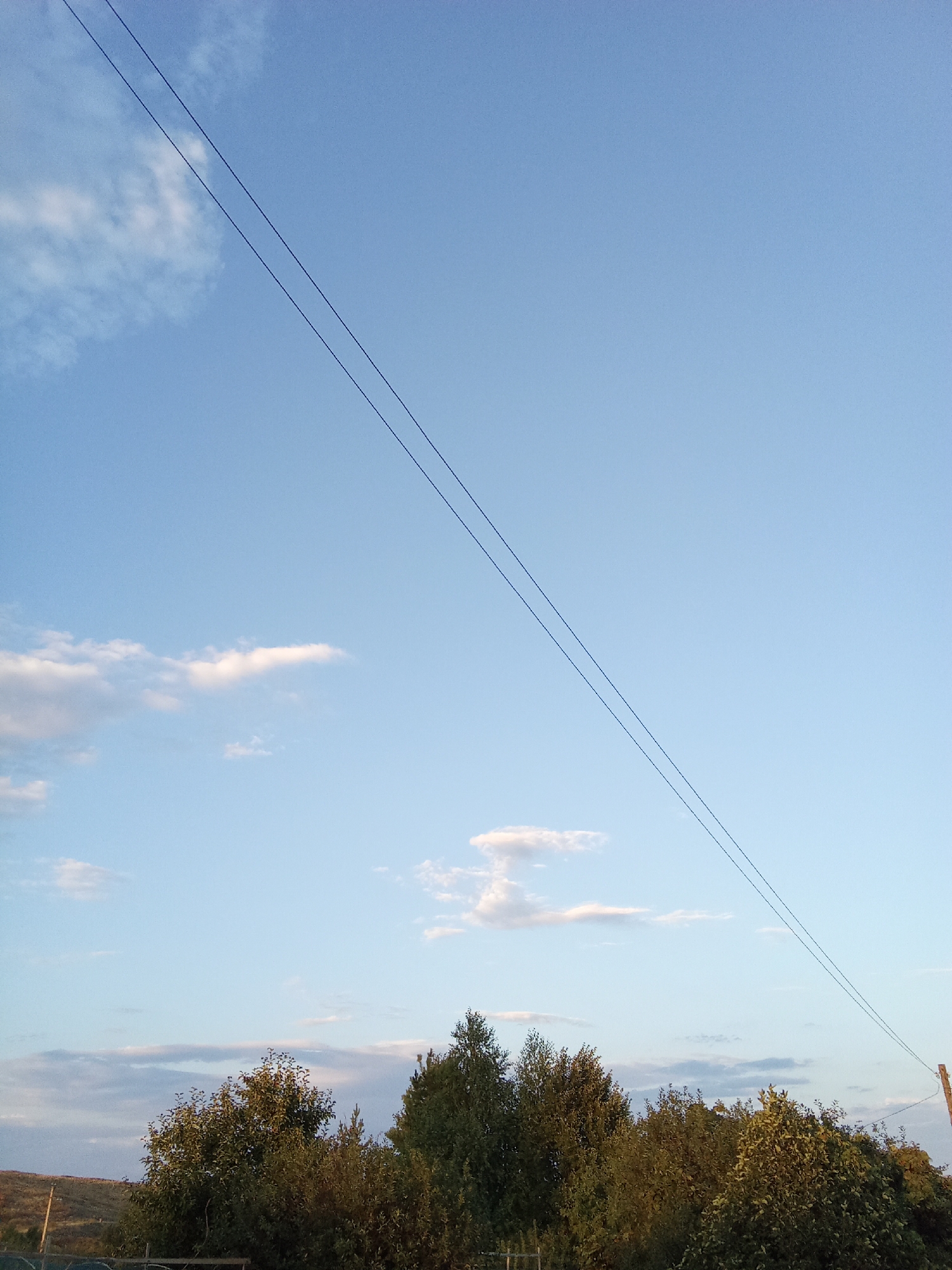 A wide shot captures a tranquil evening sky above a tree line. The sky is a clear, pale blue, transitioning to a lighter hue near the horizon. Wisps of white clouds are scattered across the upper half of the frame, with a few larger, more defined clouds lower down. Two thin, dark power lines bisect the sky diagonally from the top left to the bottom right of the image. Below the sky, a dense line of lush green trees stretches across the lower portion of the frame, their foliage catching the soft light of the setting sun. A solitary wooden utility pole is visible on the far right, near the edge of the tree line. The ground in the foreground is obscured by the trees, but hints of a fence and landscape suggest a rural or suburban setting. The scene evokes a sense of peace and quiet.