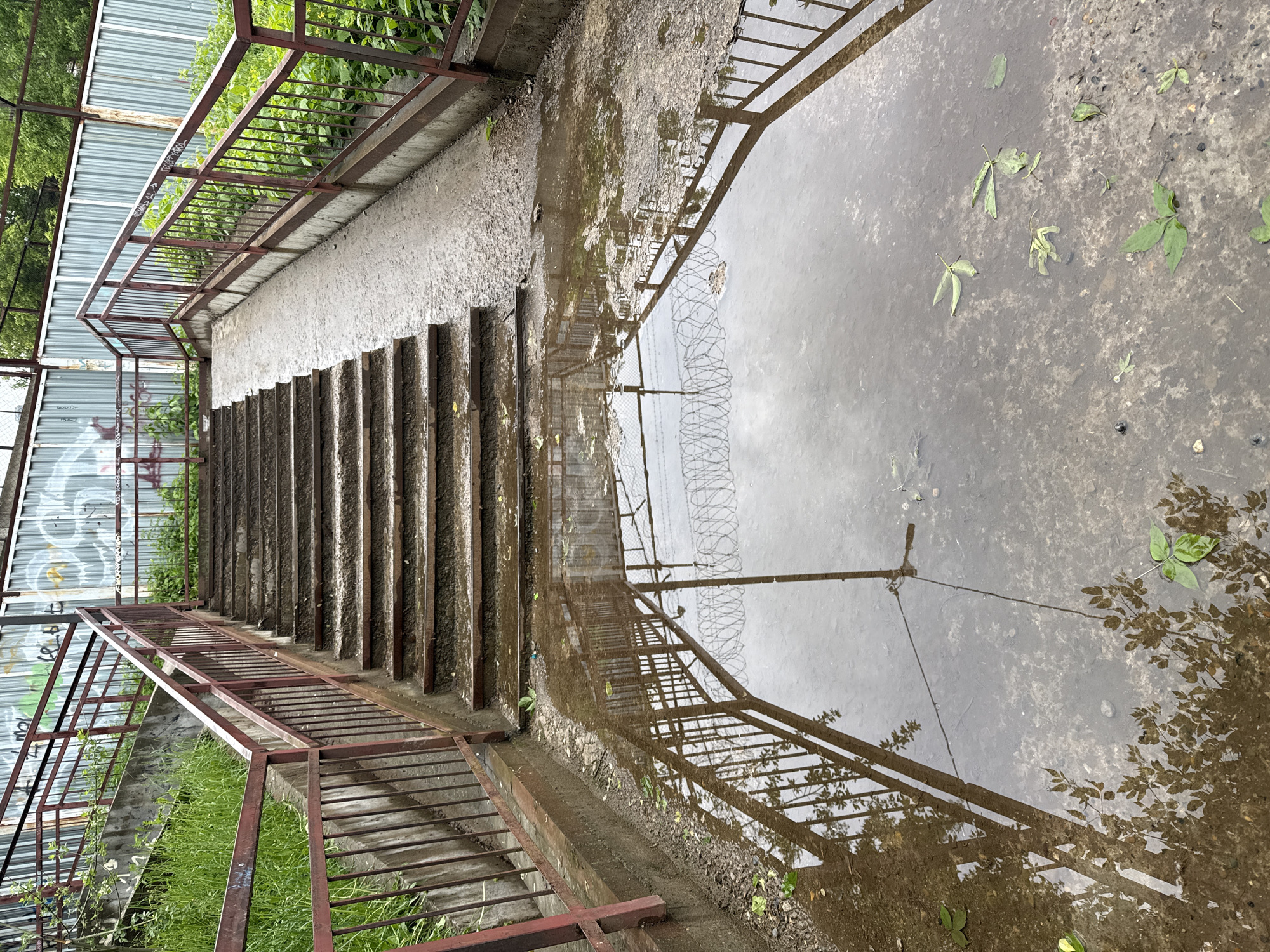 The image depicts a set of concrete steps leading down to a waterlogged area in Izhevsk, Russia. The steps are flanked by rusted metal railings on both sides. On the left side, the steps run alongside a corrugated metal wall with graffiti. The right side of the steps leads into a large puddle reflecting the surrounding environment, including the railings, barbed wire, and foliage. Several green leaves are scattered on the wet surface. The scene appears to be outdoors on a cloudy day.