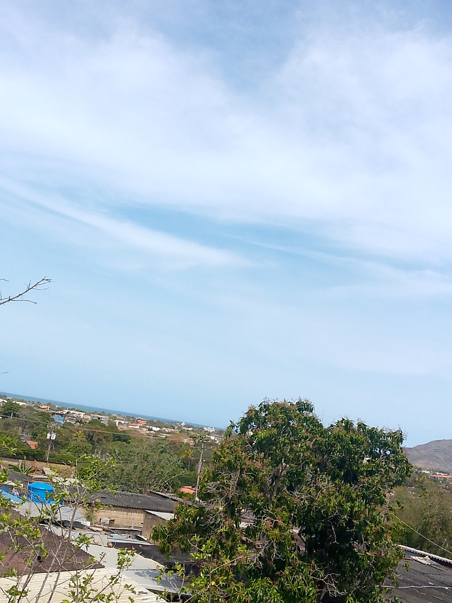 The image depicts an elevated panoramic view of a coastal urban area in Juan Griego, Venezuela, under a partly cloudy sky. The top two-thirds of the frame are occupied by a light blue sky with scattered, wispy white clouds. The bottom third reveals a densely populated landscape.
In the immediate foreground, a large, leafy green tree with numerous light-colored blooms or seed pods is prominent on the right. Bare, twig-like branches are visible on the far left. Below and beyond this foreground vegetation, numerous residential and commercial building rooftops are visible. These roofs display a variety of materials and colors, including dark gray asphalt or corrugated metal, lighter gray corrugated metal, and some red or orange tiles in the mid-distance. One bright blue cylindrical water tank is situated on a rooftop in the lower-left quadrant.
The mid-ground showcases an extensive urban sprawl characterized by a high density of buildings interspersed with abundant green trees and vegetation. Utility poles and overhead lines are identifiable within this area. The terrain appears to gently slope towards the ocean. On the far right background, a prominent, verdant hill or mountain range rises.
The background reveals a clear horizon line where the urban landscape meets the calm, light blue expanse of the Caribbean Sea. No individuals, specific actions, or interactions are discernible within the frame. The scene is illuminated by bright daylight, indicating clear visibility.