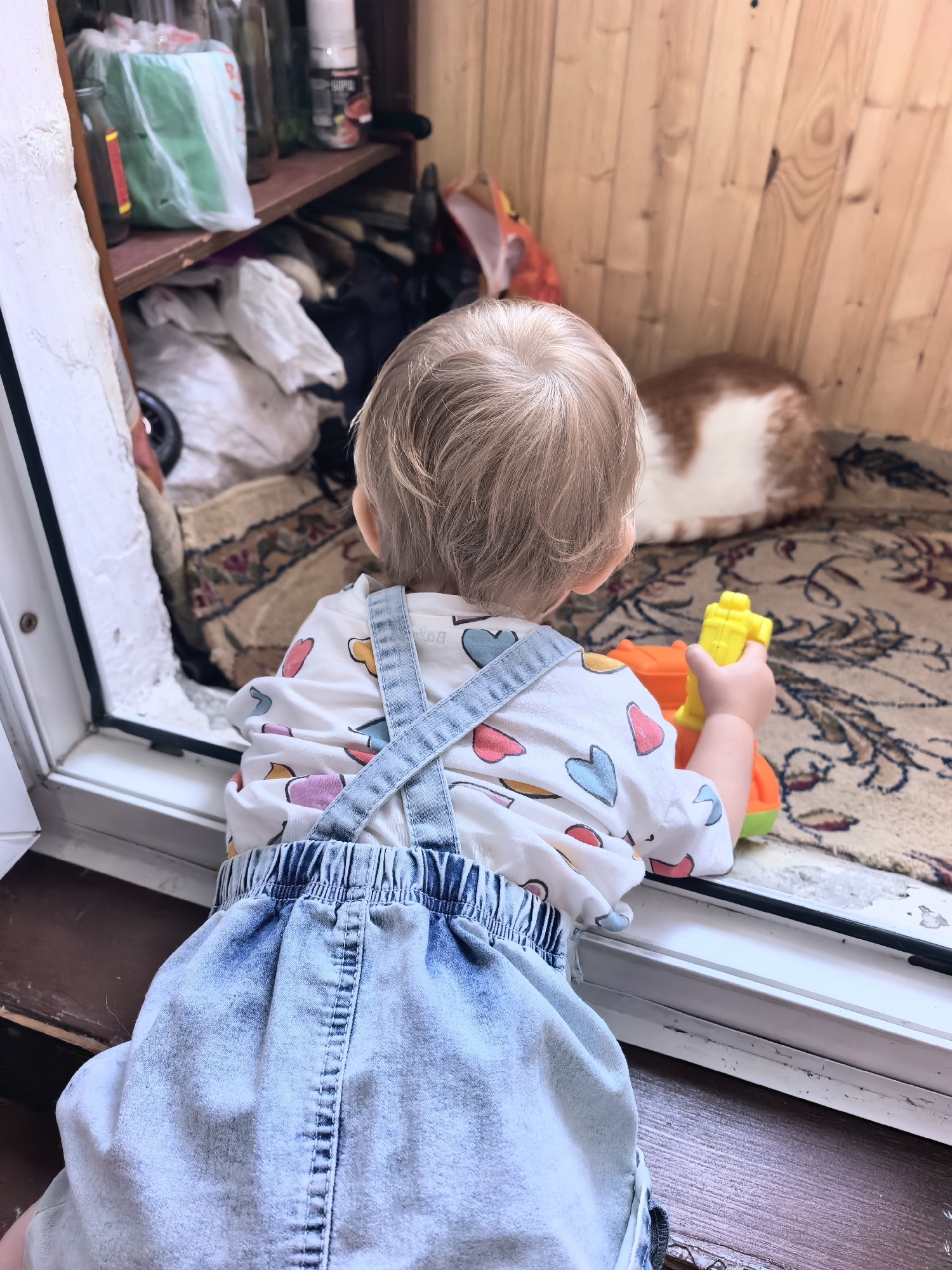 A young child with blonde hair, viewed from the back, is playing with a toy truck on a patterned rug. The child is wearing denim overalls over a white t-shirt with a heart pattern. To the right of the child, a cat with orange and white fur is lying on the rug. The scene appears to be indoors, possibly on a porch or balcony, with wooden walls in the background and a shelving unit with various items on the left. The overall setting suggests a domestic environment. There is no information to suggest this location is in Sterlitamak, Russia.