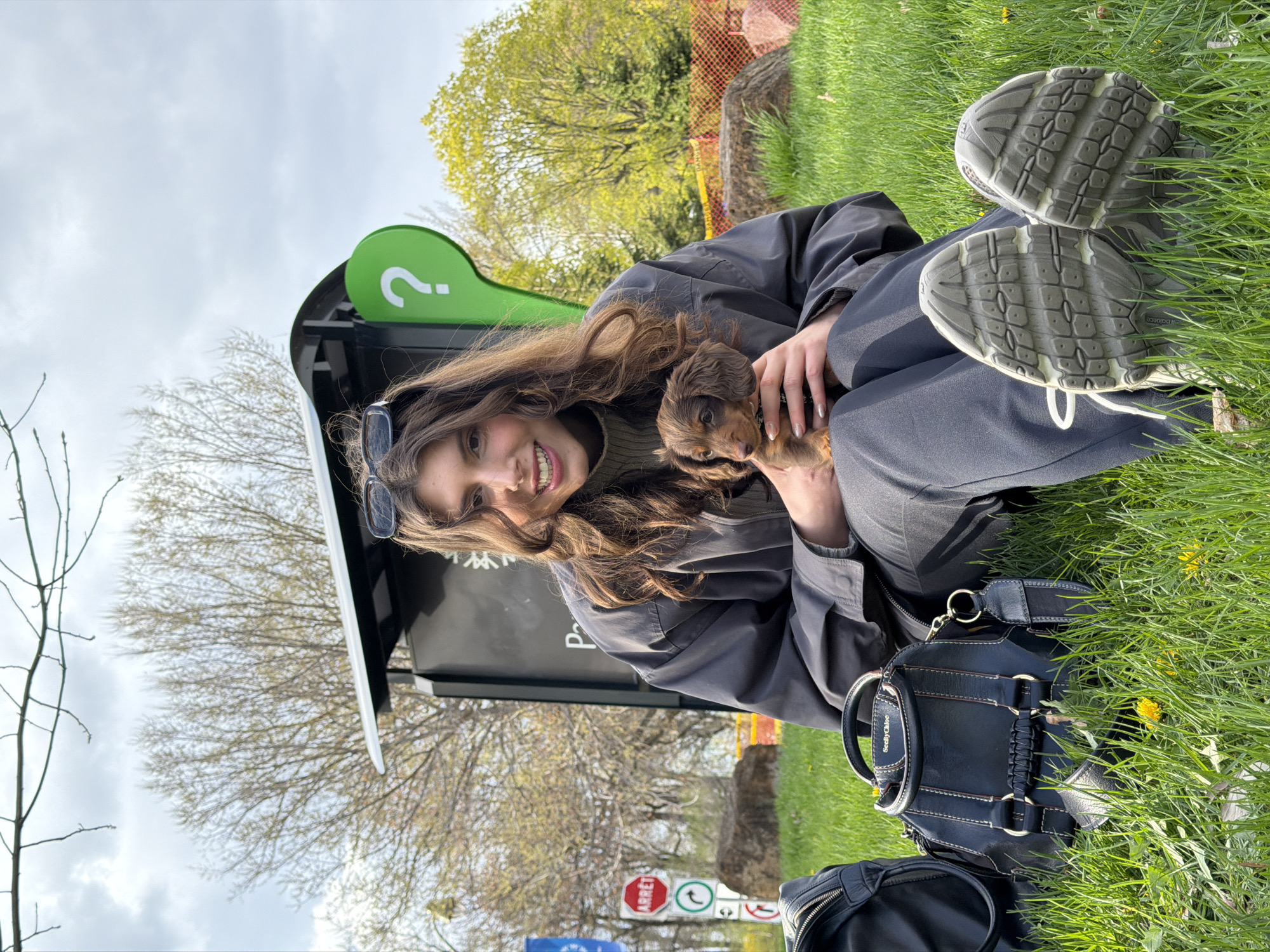 A young woman sits in the grass, holding a small brown dachshund puppy. She wears a dark jacket and sunglasses are perched on her head. She is smiling at the camera. Her legs are extended, and her running shoes are visible. Beside her are two dark-colored handbags in the grass. Behind her is a Montreal city information kiosk with a green question mark sign. In the background, trees with green foliage can be seen. A stop sign is visible in the lower left corner. The photo was taken in Montreal, Canada.