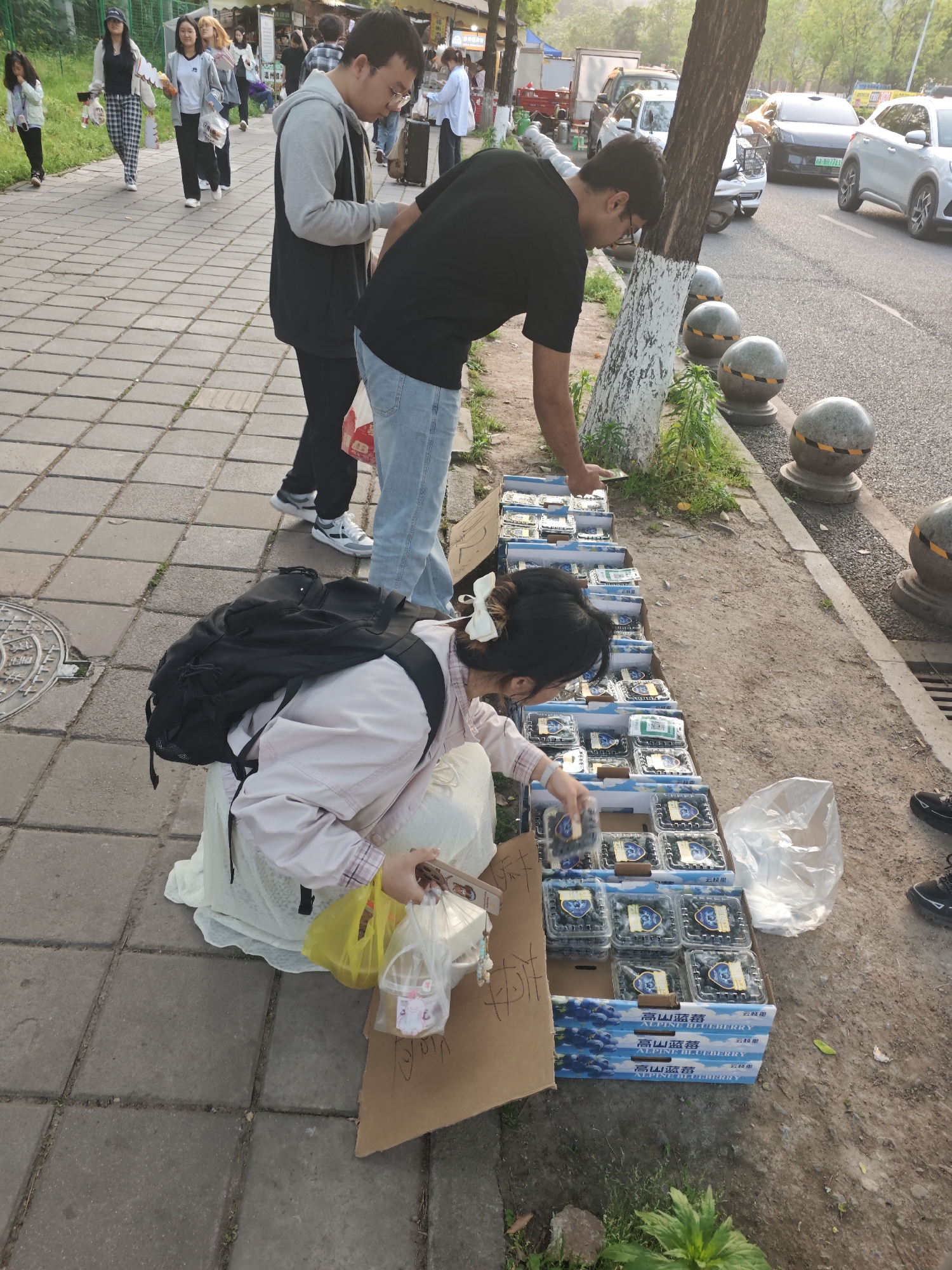 The image shows a street scene with people and items indicating a sale. A woman kneels near boxes of "Alpine Blueberry" in Chinese and English text on a cardboard box. She is wearing a light-colored jacket and has a backpack. Two men stand near her, with one bending over the blueberries. Other people walk along a paved sidewalk in the background. Cars are visible on a road next to the sidewalk. The location is in the city of Shapingba District, China.