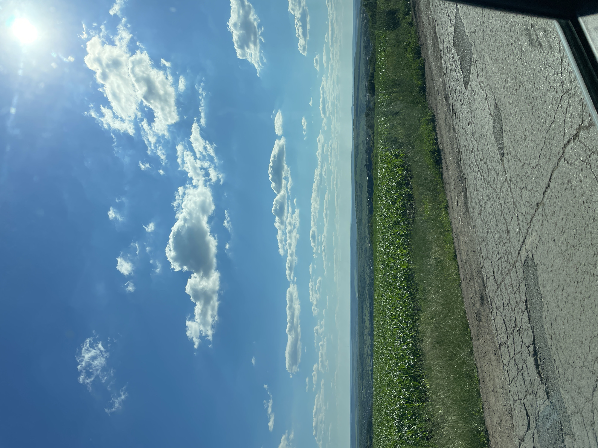 A wide shot captures a rural landscape under a bright, sunlit blue sky dotted with fluffy white clouds. In the foreground, a cracked and weathered asphalt road runs diagonally from the bottom left corner. To the right of the road, the edge of a black car interior is visible. Beyond the road, a vibrant green field of crops, likely corn, stretches horizontally across the midground, bordered by a strip of tall, dry grass. In the distance, rolling hills recede into the horizon, dotted with clusters of trees and hints of scattered buildings, suggesting a small village or town within the landscape. The scene is set in the vicinity of Peresecina, Moldova.