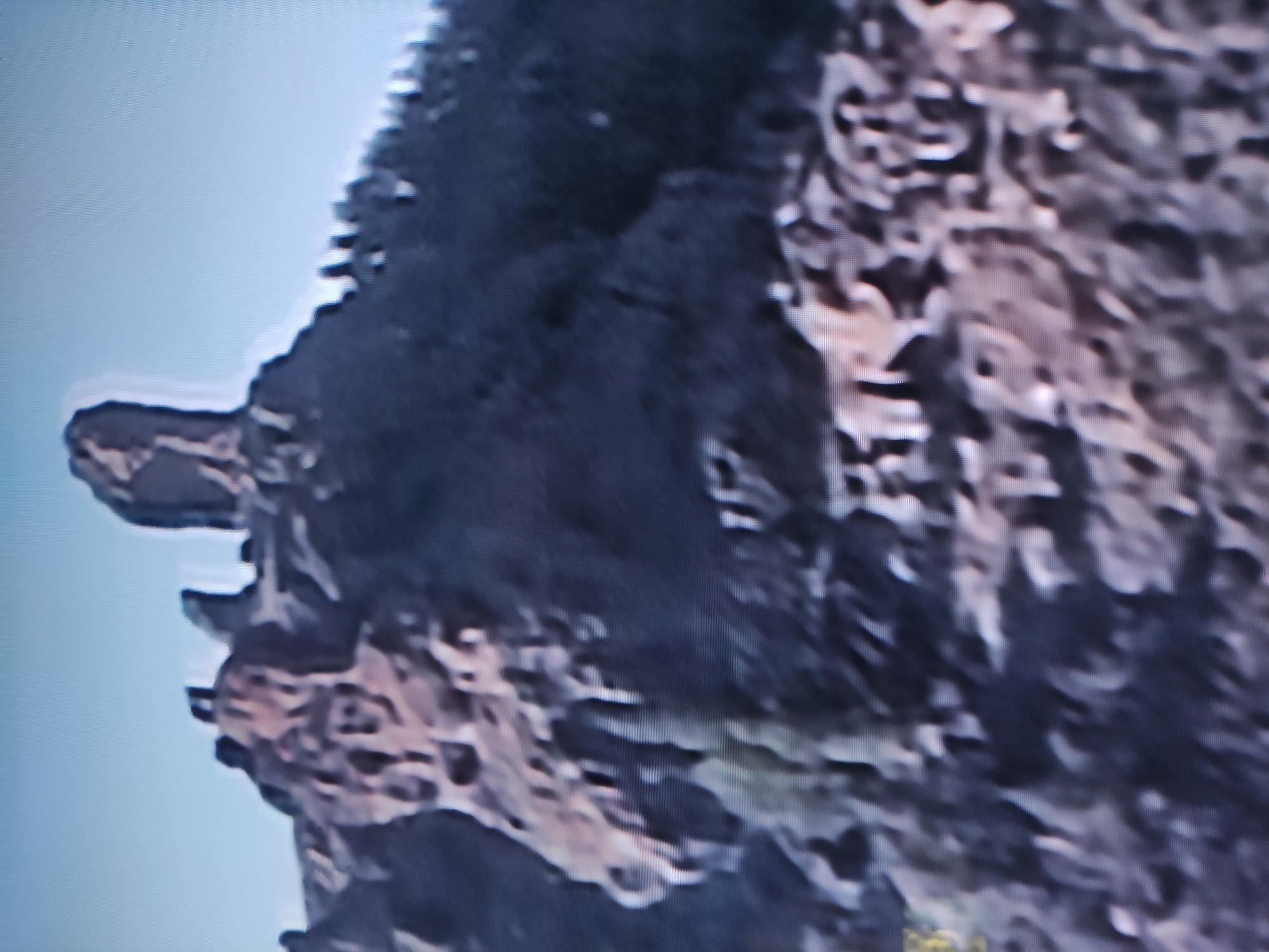 The significantly blurry and pixelated image depicts a large, dark, and irregularly shaped mass, likely a natural rock formation or cliff face, silhouetted against a bright, light blue sky. The dark subject occupies the majority of the frame, showcasing a rugged, textured surface with jagged edges and numerous small protrusions. On the left side of the main formation, a distinct, horizontal protrusion extends outward, which, due to the image's low resolution, presents an ambiguous shape that could be vaguely interpreted as a head-like profile or a prominent rock overhang. The background is a uniform, clear light blue, suggesting a daytime sky with no visible clouds. No human-made objects, individuals, or discernible activities are present. The scene is static, portraying a stark natural landscape. There is no visible text within the image. While the location context is given as Pavlodar, Kazakhstan, the image itself lacks specific visual cues to confirm this geographical detail.