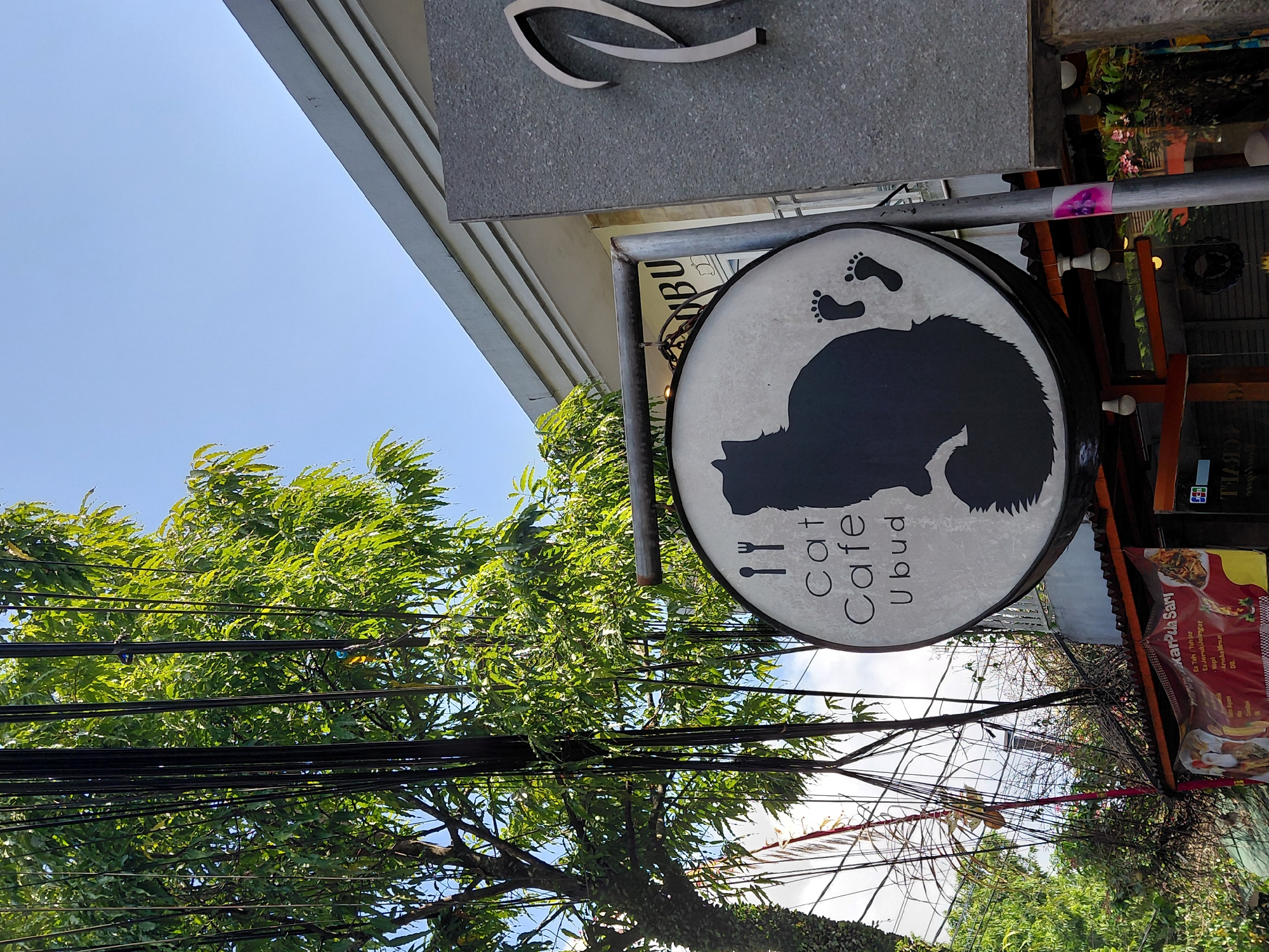 The image shows a round sign for "Cat Cafe Ubud" in Bali, Indonesia. The sign features a silhouette of a cat with two sets of paw prints. The sign is hanging from a pole, with a tree and power lines in the background. To the right of the sign is a building with a stone facade. The scene appears to be outdoors, with a clear blue sky overhead. The photo is taken from a low angle, looking up at the sign and the surrounding environment. The overall impression is that of a casual, friendly establishment in a tropical setting.