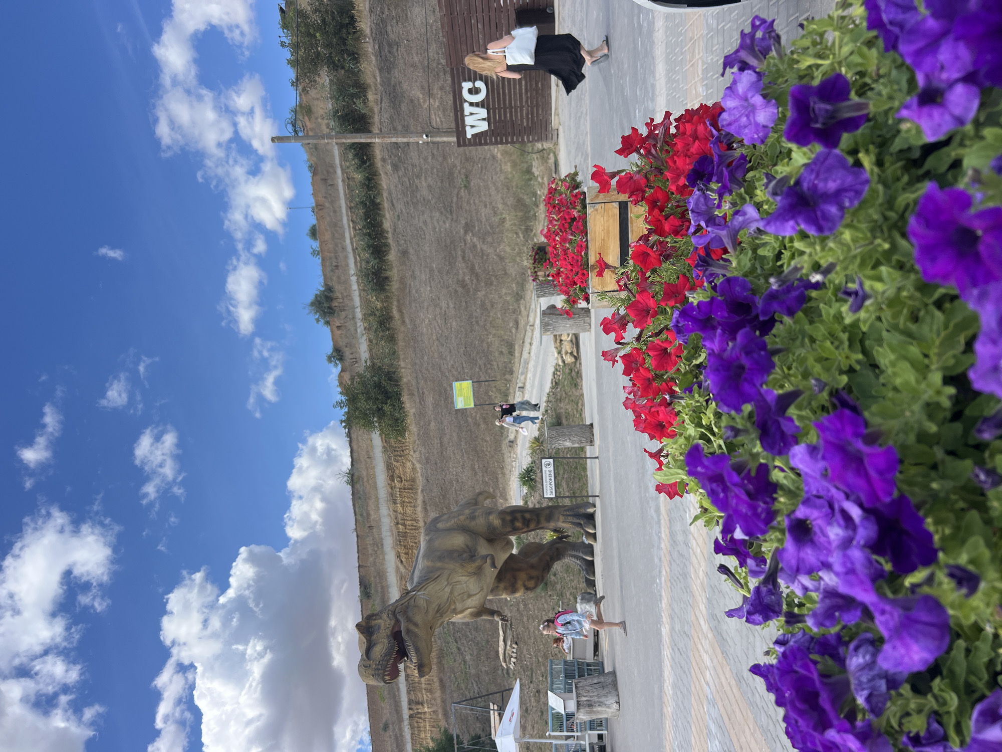 In the city of Fontanka, Ukraine, a scene unfolds near a dinosaur exhibit. In the foreground, vibrant purple petunias bloom, with red petunias behind them, both set in wooden planters. A paved walkway stretches into the distance, with a large, realistic model of a Tyrannosaurus Rex standing prominently on the left side of the frame. A young girl with a backpack runs across the walkway in front of the dinosaur. Behind the dinosaur, a playground structure with swings is visible. Further in the background, a gentle, grassy hill rises, dotted with sparse vegetation. To the right, a woman in a black dress and carrying a white tote bag walks away from a building with a "WC" sign. A utility pole stands nearby. The sky above is a bright blue with scattered white clouds.