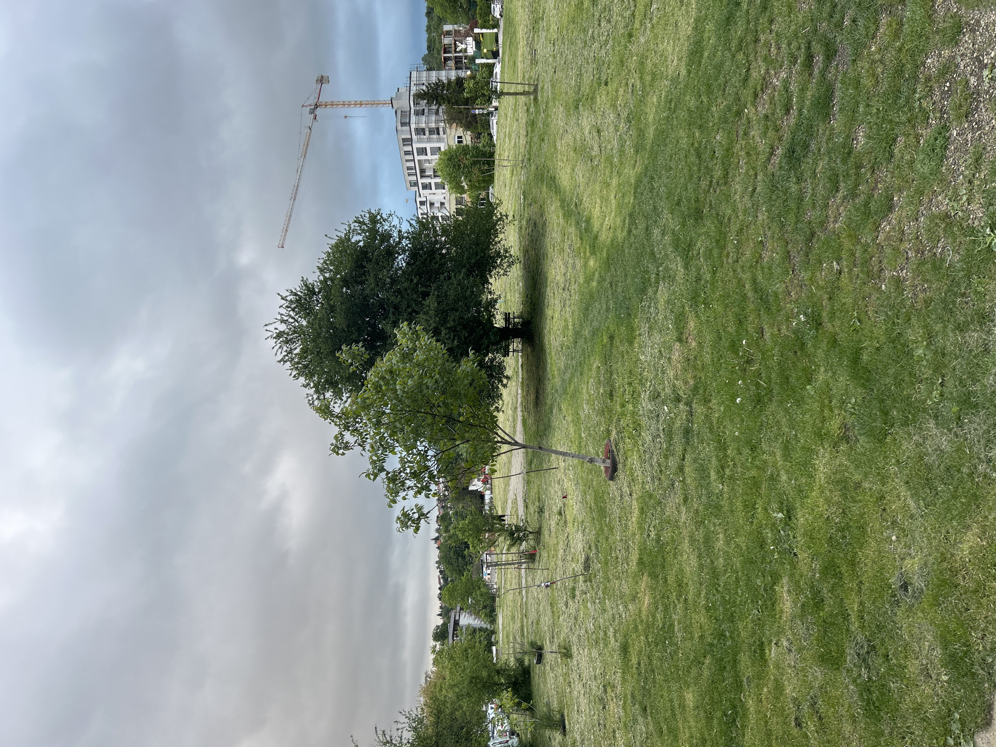 The image shows a park with a building and a construction crane in the background. The sky is cloudy. There are trees in the foreground and a large grassy area. The location appears to be urban, but the specific city and state are unknown.