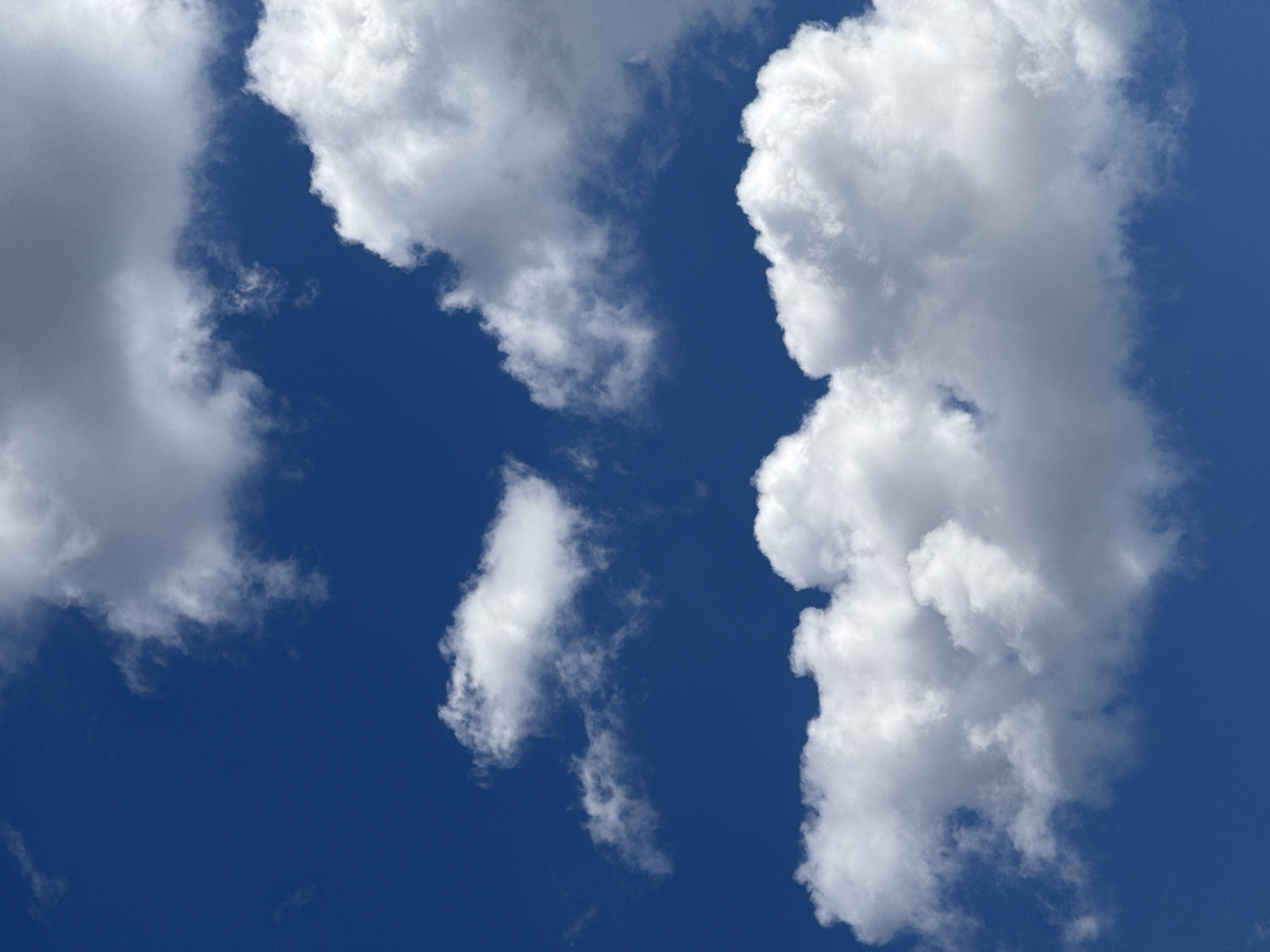 This media file is a close-up, ground-level shot of a bright blue sky filled with various fluffy white clouds. The clouds are varied in size and shape, with some appearing large and billowy, while others are smaller and wispy. The sunlight is bright, illuminating the clouds from above and creating distinct shadows and highlights, suggesting it is daytime. The overall impression is one of a clear, sunny day with fair weather. There is no text visible in the image. The scene is simply the sky and clouds, with no identifiable objects, people, or specific location cues beyond the general setting of an outdoor environment.