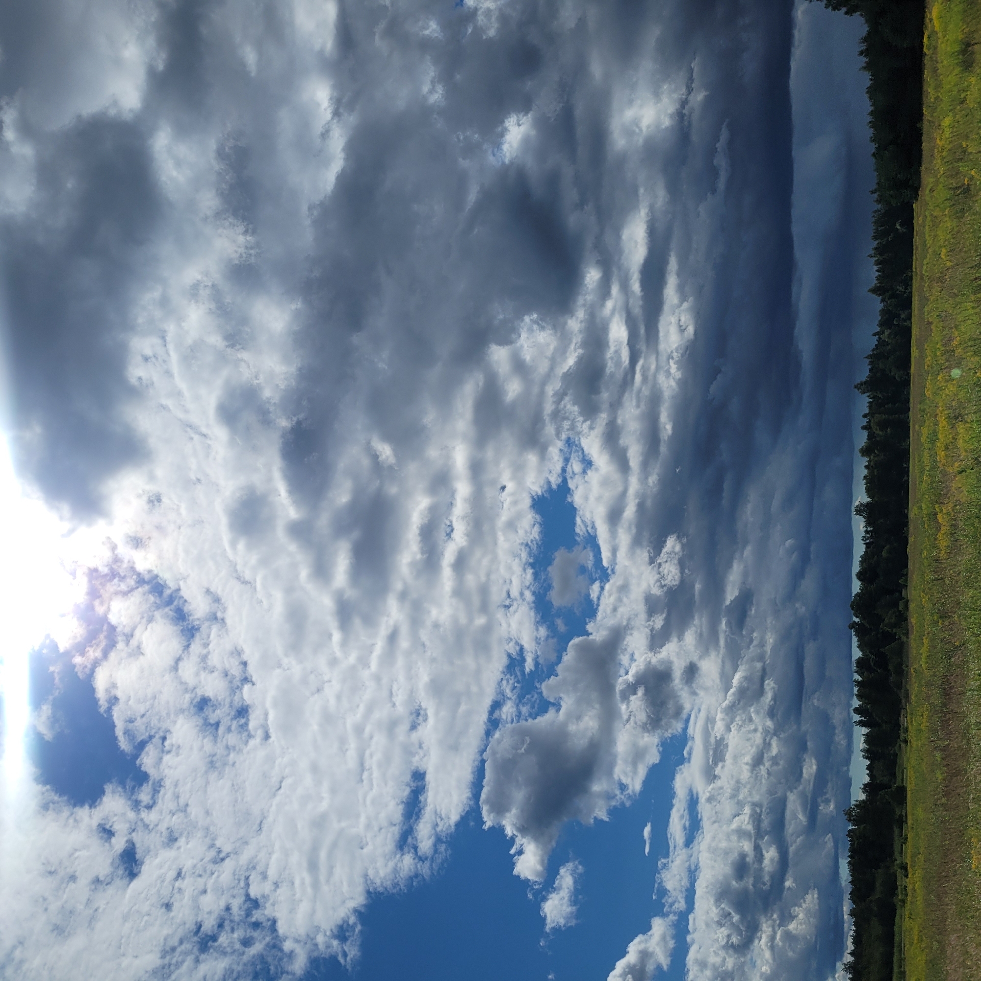 The image depicts a wide, horizontal view of a landscape in Jaunsils, Latvia. The scene is dominated by a dramatic sky filled with a mix of white, gray, and dark storm clouds. Sunlight filters through gaps in the clouds, creating bright highlights. Below the sky is a treeline of dark green coniferous trees stretching across the horizon. In the foreground, a field of tall, dry grass with scattered yellow wildflowers extends to the treeline. The overall impression is one of a partly cloudy, possibly approaching storm, day over a rural Latvian landscape. There are no people or specific objects of interest visible in the image.