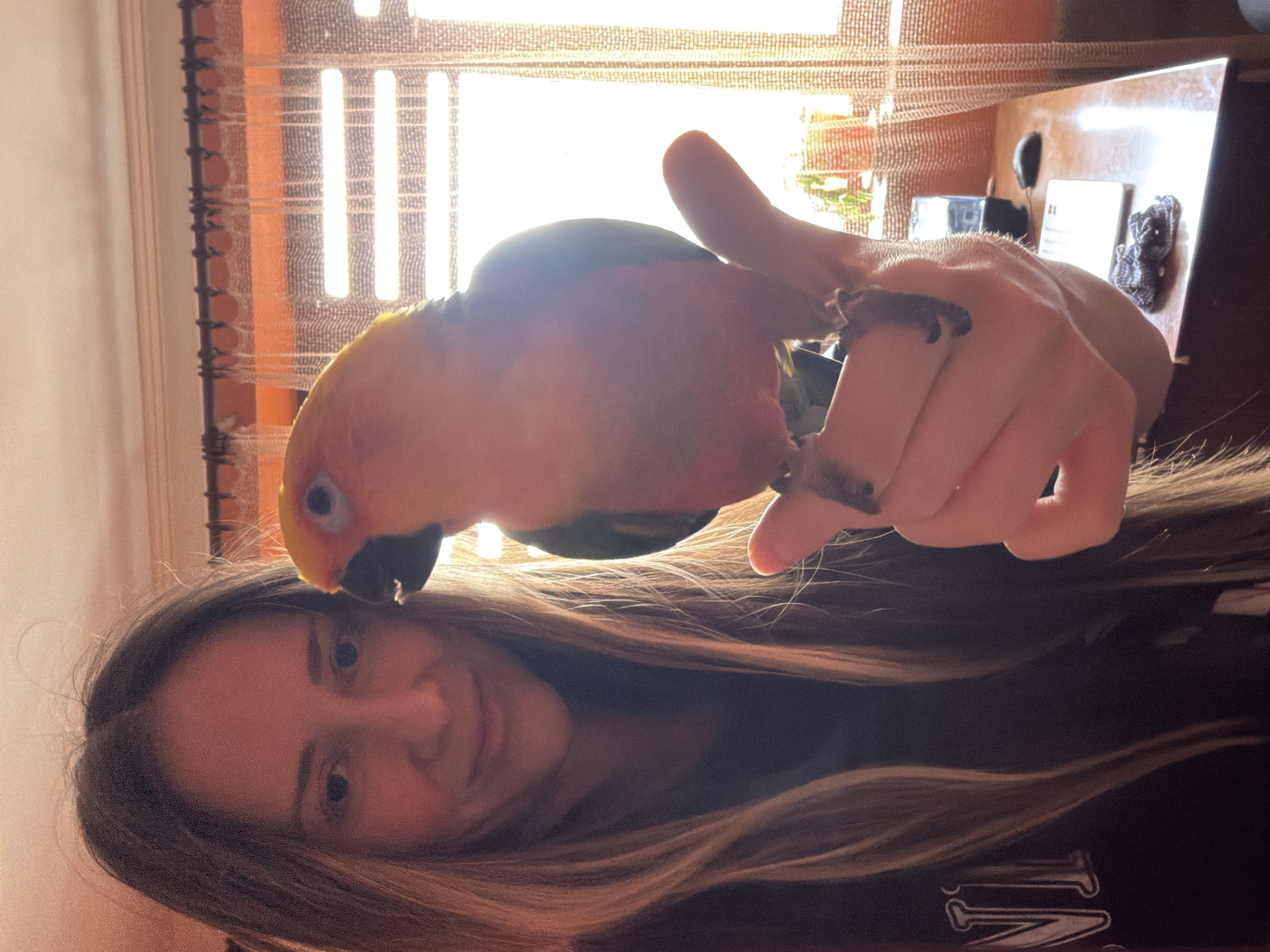A fair-skinned person with light brown hair is holding a brightly colored parrot. The parrot has a yellow-orange head and a dark beak. The person is holding the parrot with their right hand. The photo appears to be taken indoors near a window. There is a desk with objects on it in the background. The environment in the city of Khimki, Russia cannot be reliably determined from this image.