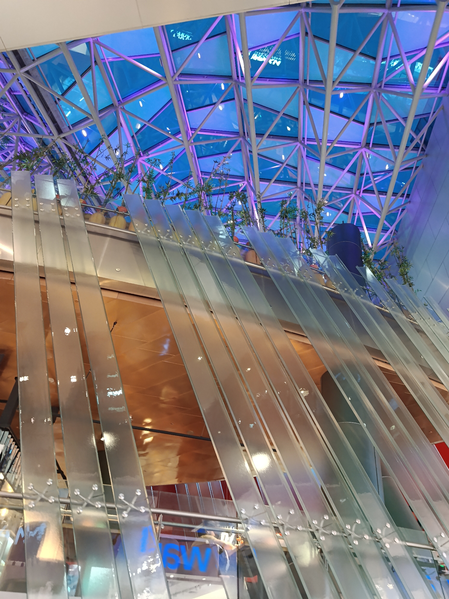 The image depicts an interior scene, likely within a modern architectural structure. The location appears to be in Moscow, Russia, as indicated by the “ASW” signage on the glass panel in the foreground.
Dominating the upper portion of the image is a geometric, steel-framed ceiling with blue and purple-tinted glass panels. Sparse, green foliage is interspersed along a ledge or platform that runs horizontally across the mid-ground of the scene.
The mid-ground and foreground are composed of numerous vertical, transparent glass panels, seemingly part of a wall or partition. These panels are attached with small, metallic fasteners. Reflections and distortions from the environment are visible within the glass. Lower down are visible some signs and possibly people.
The overall environment seems modern and well-lit, indicative of an airport or modern public space in Moscow.