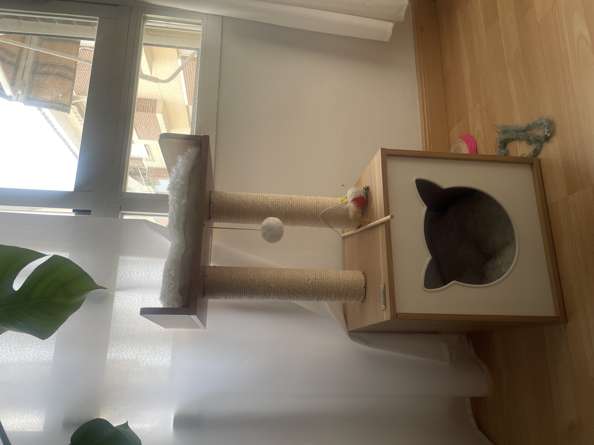 The image depicts an indoor scene, likely a living room, featuring a multi-level cat tree situated next to a window with white sheer curtains. The cat tree is made of wood and sisal rope, with a plush white cushion on the top level. A dangling toy with a white ball and a feather is attached to the tree. Below the upper platform, there is a wooden box with a white front panel featuring a cat-shaped cutout, revealing a dark interior that suggests it is a hiding place or bed for a cat. On the floor next to the cat tree, there are a few cat toys, including a pink and yellow circular toy and a piece of frayed rope. The floor is made of polished wooden planks. The window offers a view of buildings with tiled roofs, indicating an urban setting, possibly in Atarfe, Spain, given the context. The lighting suggests it is daytime, with natural light streaming in from the window. No people are visible in the image.
