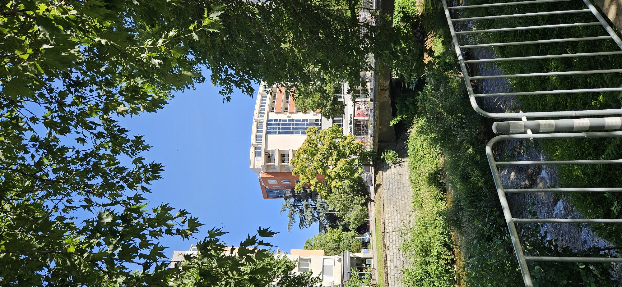 The image captures a sunny day in Blagoevgrad, Bulgaria, showcasing a scene along a riverbank with urban elements. In the foreground, a metal railing with vertical bars is visible, bordering a river. The river flows with clear water, surrounded by lush green vegetation and reeds. A stone wall runs along the riverbank, supporting a walkway or road above. On the elevated level, a modern multi-story building with a cream-colored facade and orange brick accents stands prominently. The building features large glass windows and balconies. Adjacent to it, another building with a similar architectural style is partially visible. A bridge crosses the river, with people walking on it and a few cars parked on the street near the building. Trees with vibrant green leaves frame the scene from the top, with their branches and foliage extending into the frame, creating a natural canopy against a clear blue sky. The overall impression is one of an urban environment integrated with nature, likely a public space near a river in Blagoevgrad.
