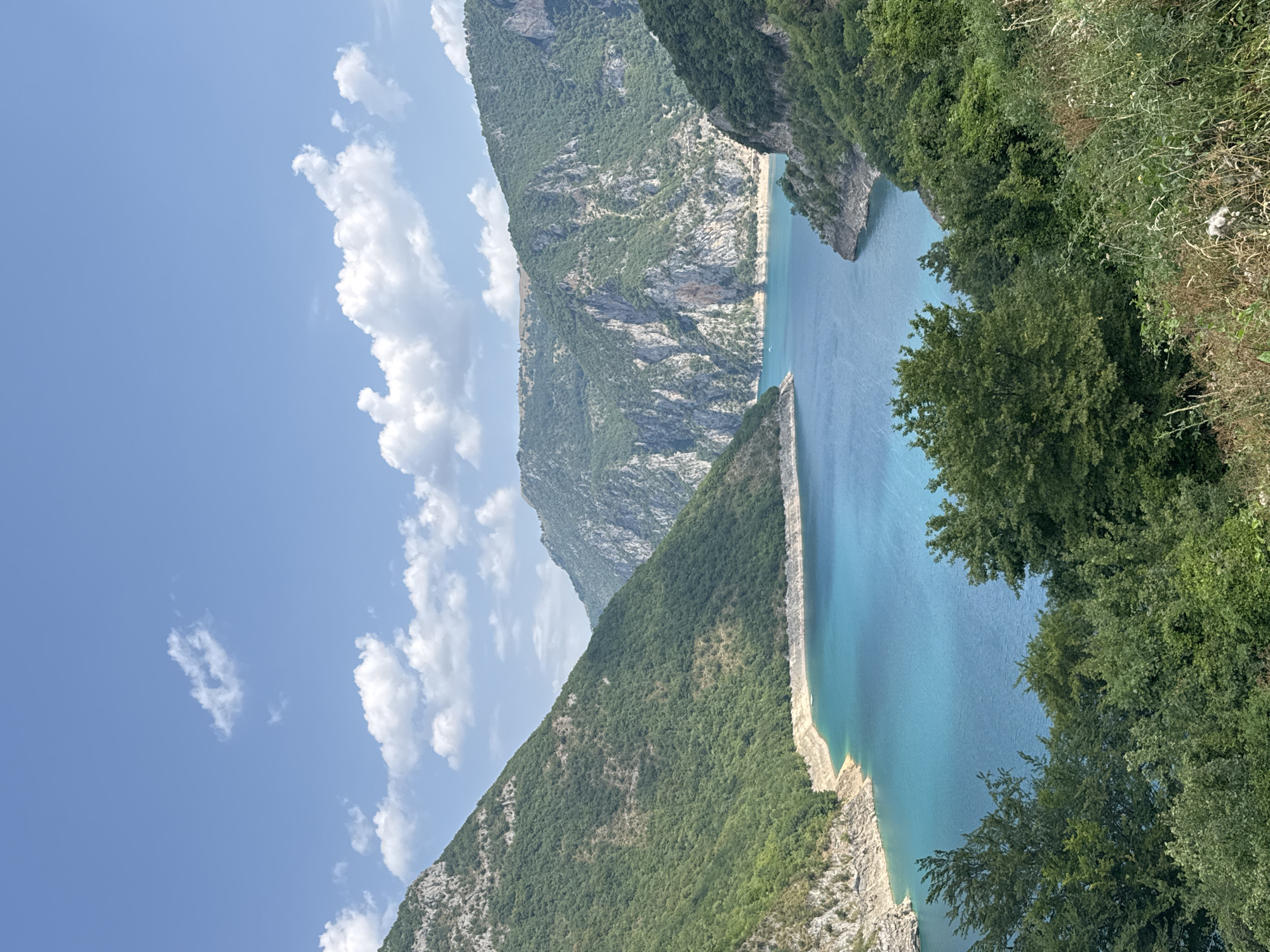 The image depicts a panoramic view of a stunning, vibrant blue lake nestled within a dramatic canyon. The water is exceptionally clear and reflects the bright blue sky, dotted with fluffy white clouds. Steep, rugged mountains covered in lush green vegetation rise sharply on either side of the lake. The slopes of the mountains are textured with rocky outcrops and dense forests. In the foreground, a dense cluster of green trees and some dry grasses are visible, suggesting a viewpoint from a higher elevation. The scene is natural and untouched, conveying a sense of serene beauty and grandeur. The location is identified as the Piva Lake, near the town of Plužine in Montenegro.