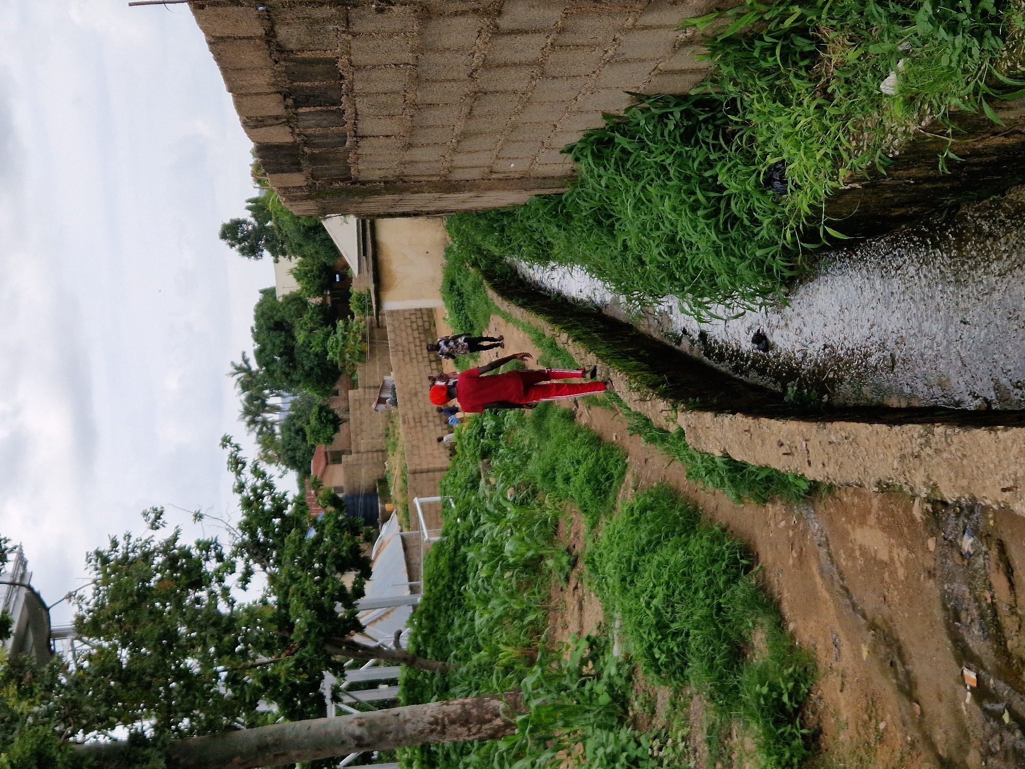 In the city of Unknown, Unknown, a person wearing a red shirt and pants walks away from the camera along a dirt path next to a narrow, flowing water channel. The path is bordered by lush green vegetation and rows of corn stalks. To the right of the water channel is a rough, textured brick wall. In the background, several buildings are visible, including structures with corrugated metal roofs and others constructed with beige bricks. Other individuals are also present in the background, some walking on the path and others standing near the buildings. The sky is overcast with a cloudy, gray appearance.