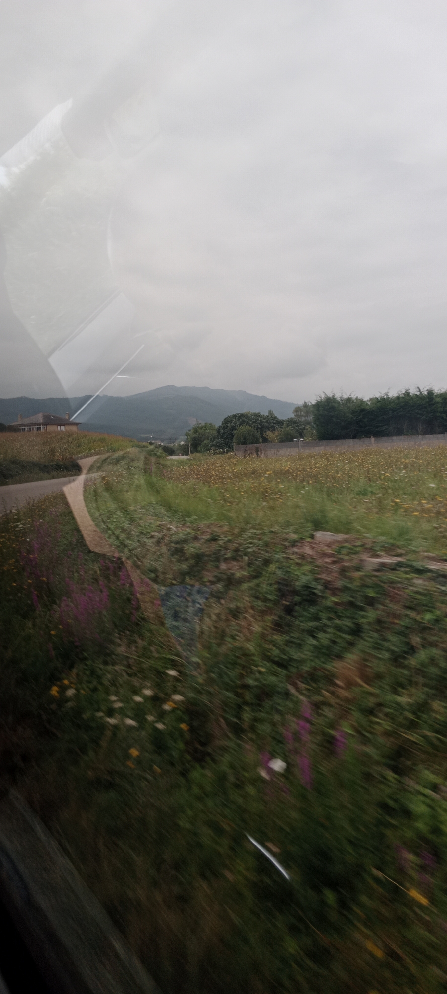 The image captures a rural landscape with a cloudy sky. In the foreground, a path curves through a field of grass and wildflowers. The wildflowers are a mix of colors, including yellow, purple, and white, and are blurred due to motion. A road is visible to the left, with a building or house situated on a hill beyond it. In the background, rolling hills are covered in trees, and a distant mountain range is visible under the overcast sky. There are reflections on the surface of what appears to be a window, suggesting the photo was taken from inside a vehicle or building. The overall impression is one of a serene, natural setting. The specific location in the city of Meirengos, Spain, is not discernible from the visual information provided in the image.