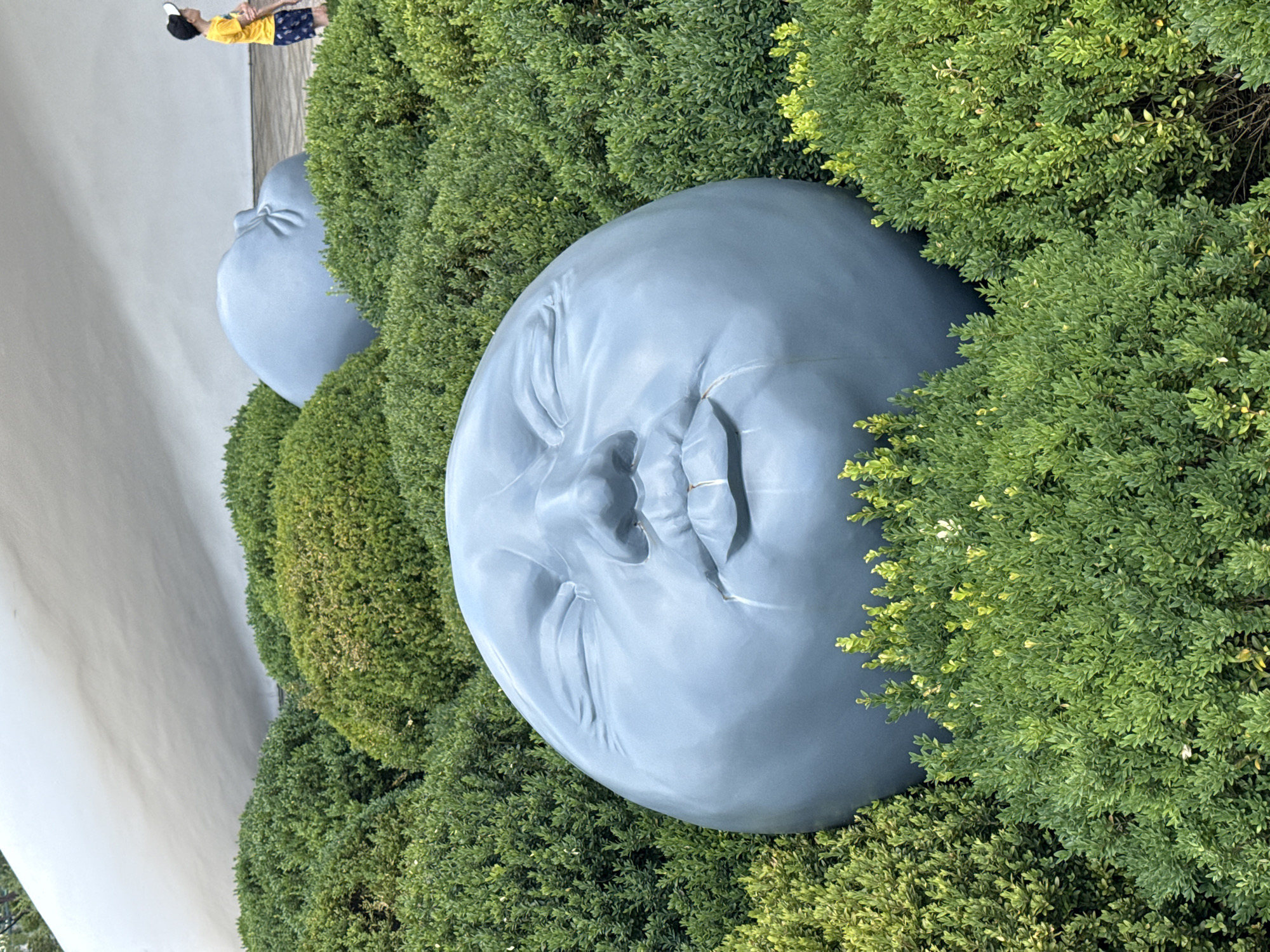 A large, gray, spherical sculpture with a stylized human face is nestled amongst lush green bushes. The sculpture features closed eyes, a puckered mouth, and what appears to be tears running down its face. Another similar, but larger, sculpture is partially visible in the background, also emerging from the greenery. To the right of the sculptures, a young boy in a yellow t-shirt and blue shorts stands looking up, seemingly observing the art installation. The background consists of a smooth, off-white curved structure. The scene is outdoors, likely in a park or public garden, given the abundant foliage and the artistic display.