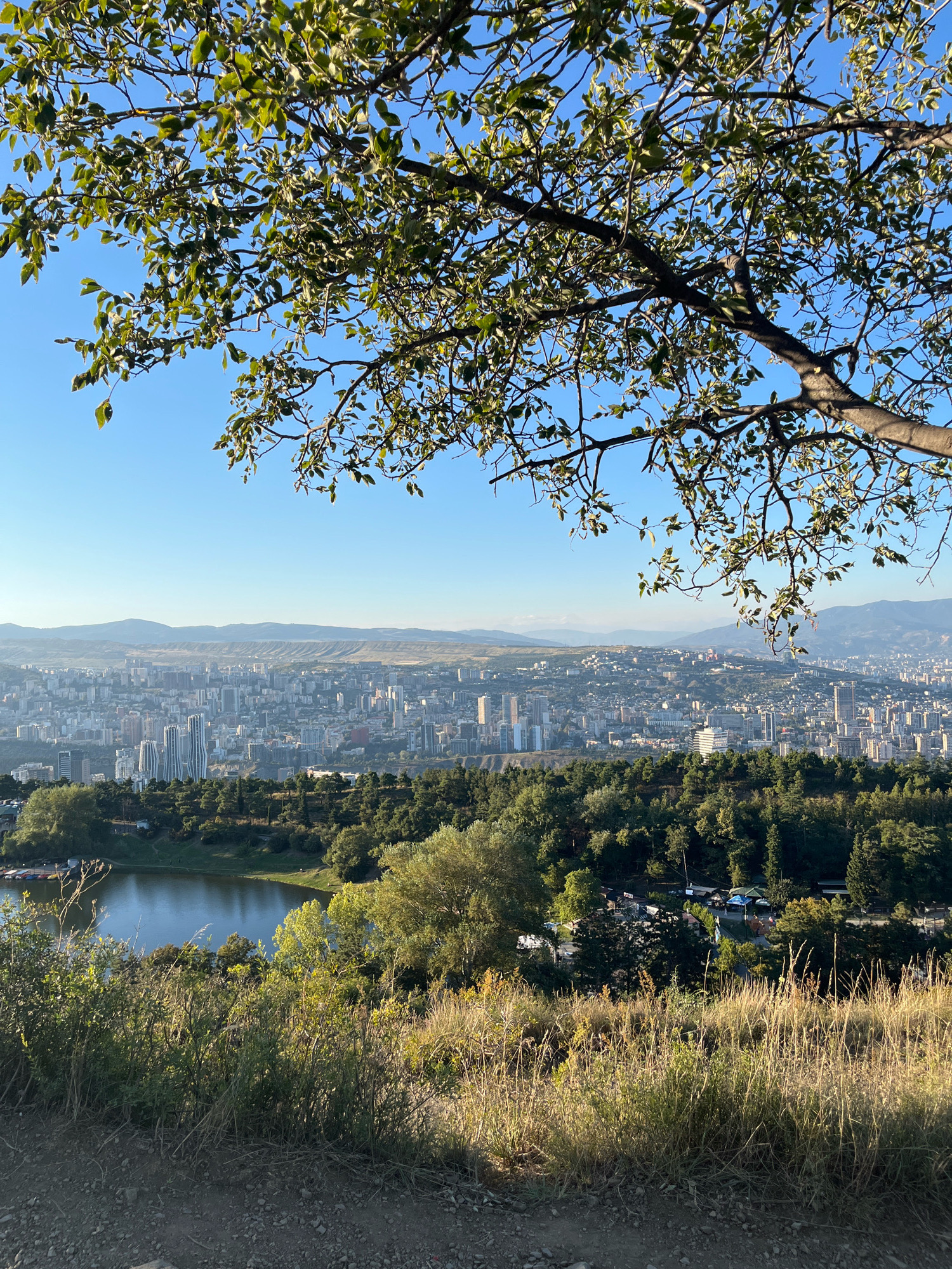 The image captures a panoramic view of Tbilisi, Georgia, from a high vantage point. In the foreground, a tree branch with green leaves partially obscures the scene. Below, a body of water, likely a lake, is visible, surrounded by lush green trees. Beyond the water, the city of Tbilisi stretches out, with numerous buildings and skyscrapers dotting the landscape. In the far distance, mountains form a hazy backdrop under a clear blue sky. The lighting suggests it is daytime, possibly late afternoon, given the warm tones and shadows. There are no people or obvious actions depicted in the scene.