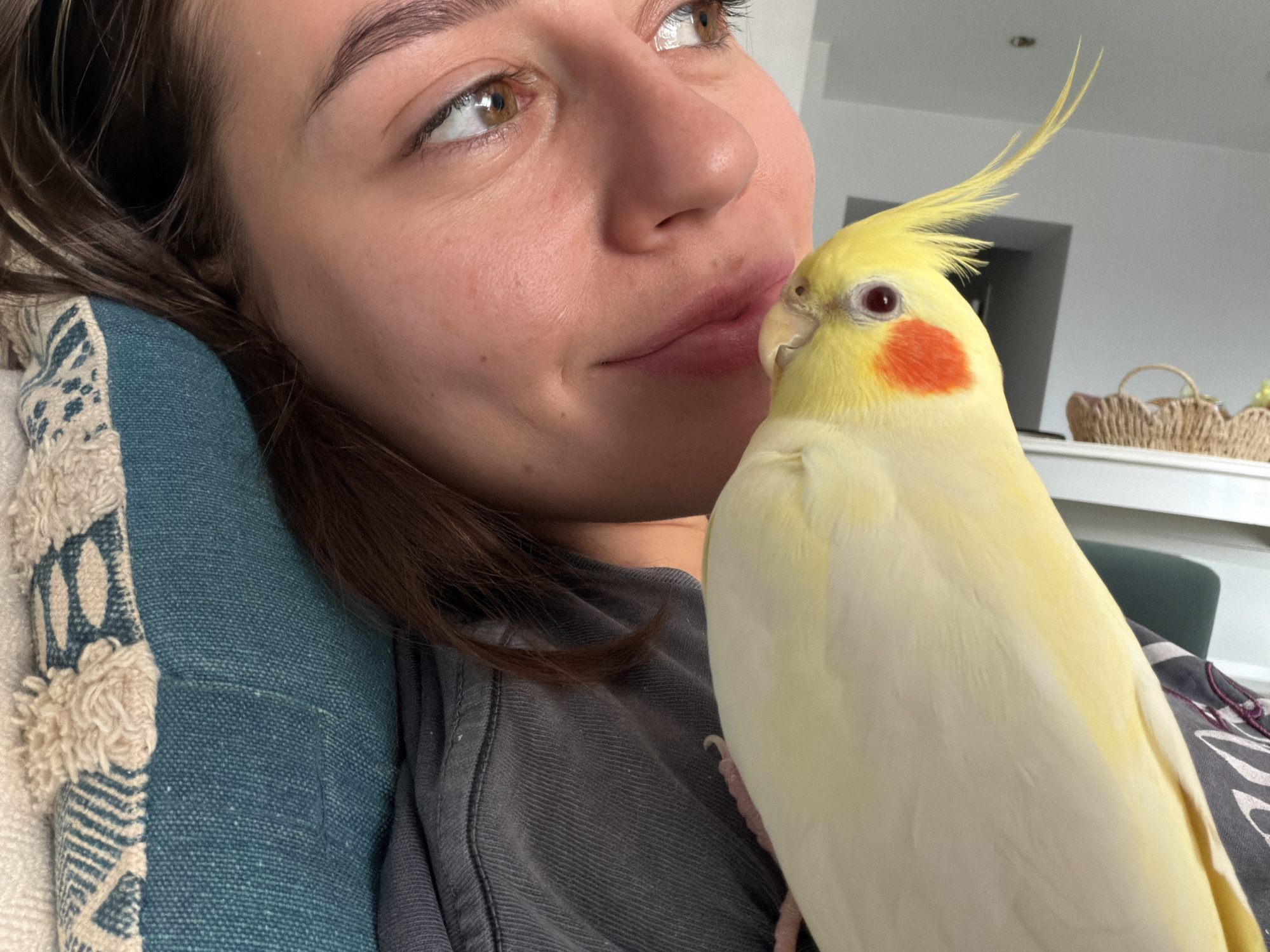 In a close-up, indoor shot, a person's face is partially visible, turned to the right, with their eye and cheekbone in focus. A light yellow cockatiel with an orange cheek patch is perched on the person's shoulder, near their face. The bird's head is turned towards the person, and its crest is raised. The person is wearing a dark grey shirt. A textured blue and cream patterned pillow is visible to the left of the person. In the background, out of focus, a white shelf with a wicker basket is present. The scene appears to be a domestic setting. There is no information in the image that can identify the location as Krasnoyarsk, Russia.